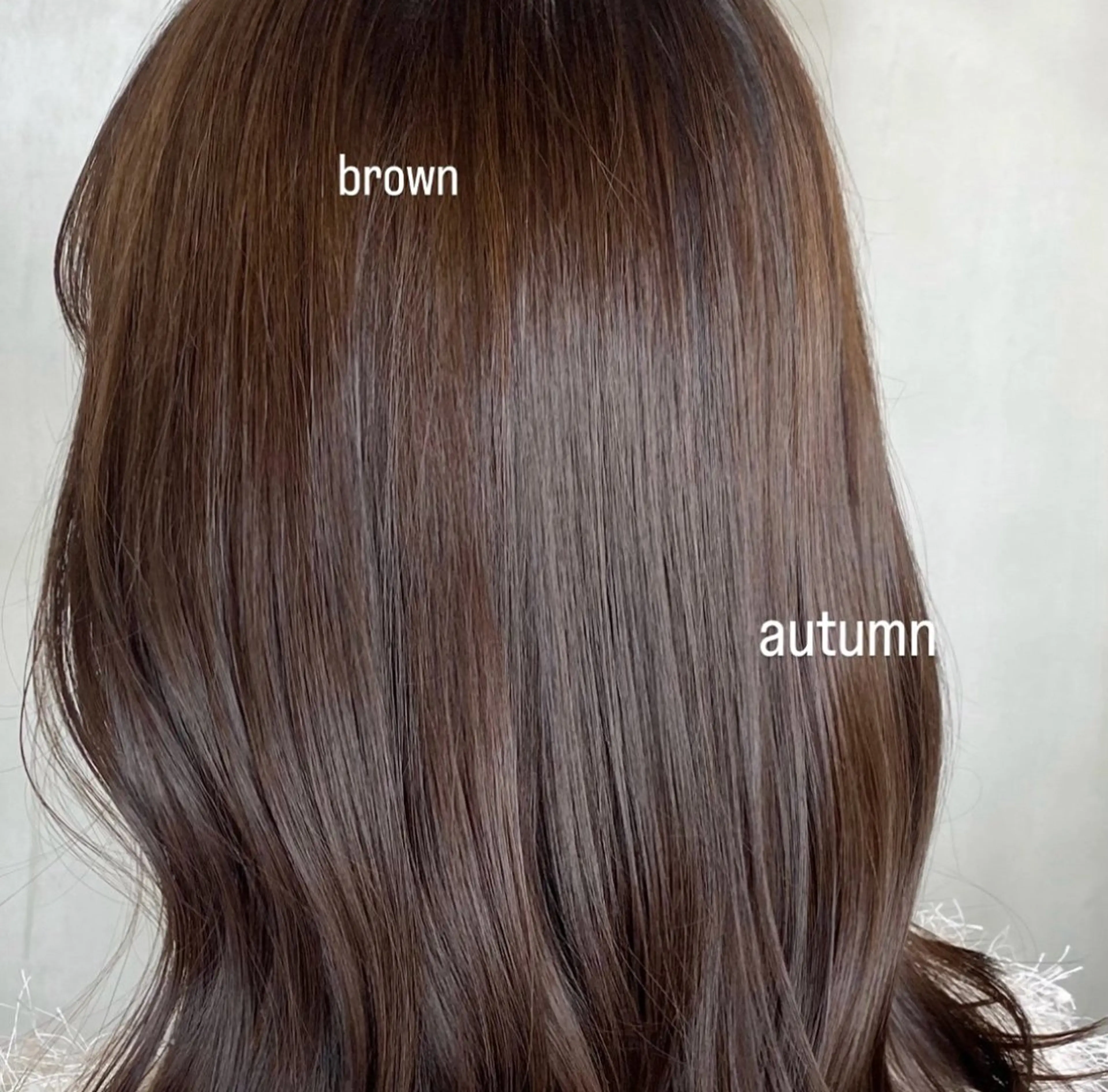 カラー AIN.ANLY.所属・韓国ｶﾞｰﾘｰ 🎀ミスズ🩰のヘアスタイル