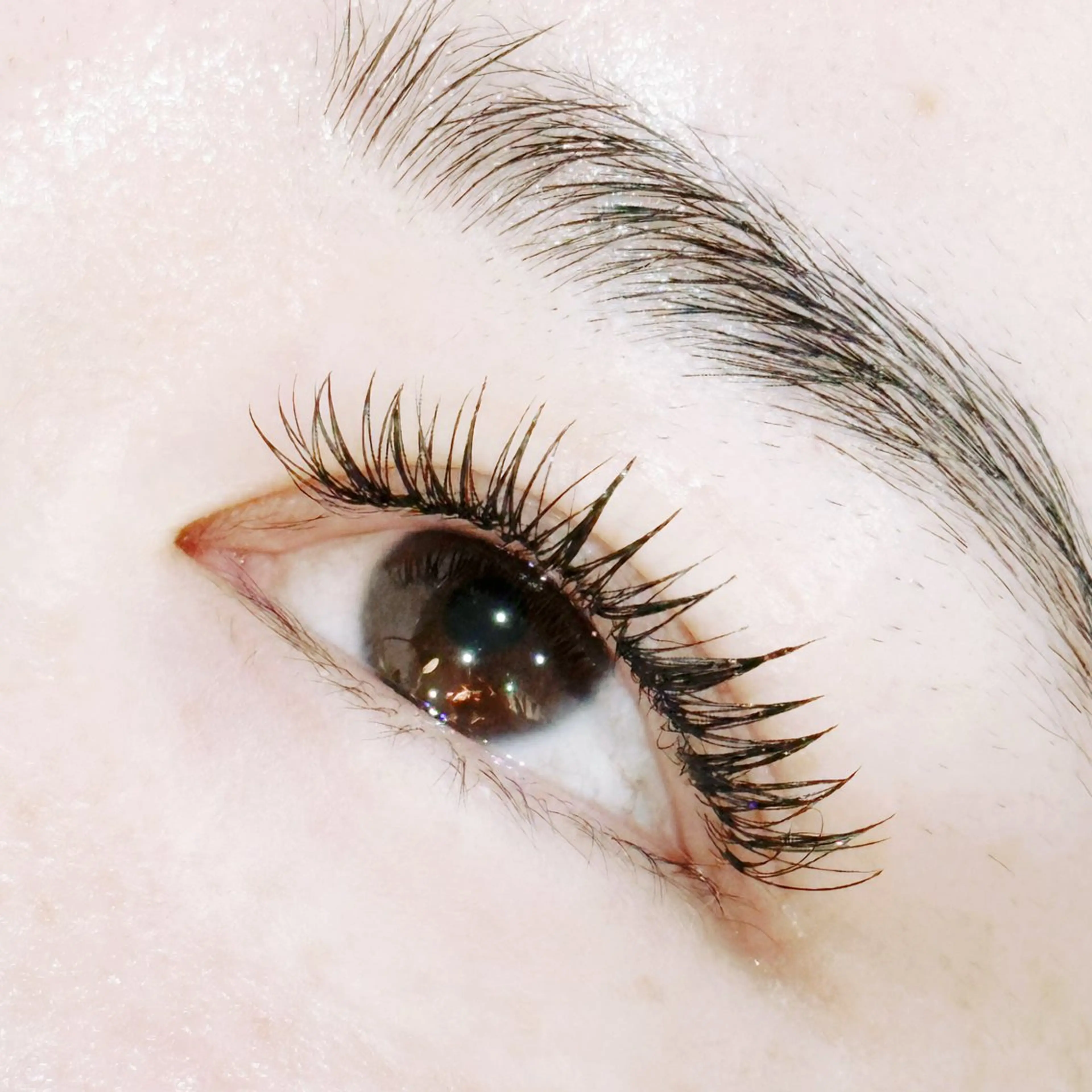 ダブル フラットラッシュ1時間半付け放題(最大120束まで)🎀シングルよりもボリュームUP！付替オフ＋¥550の写真