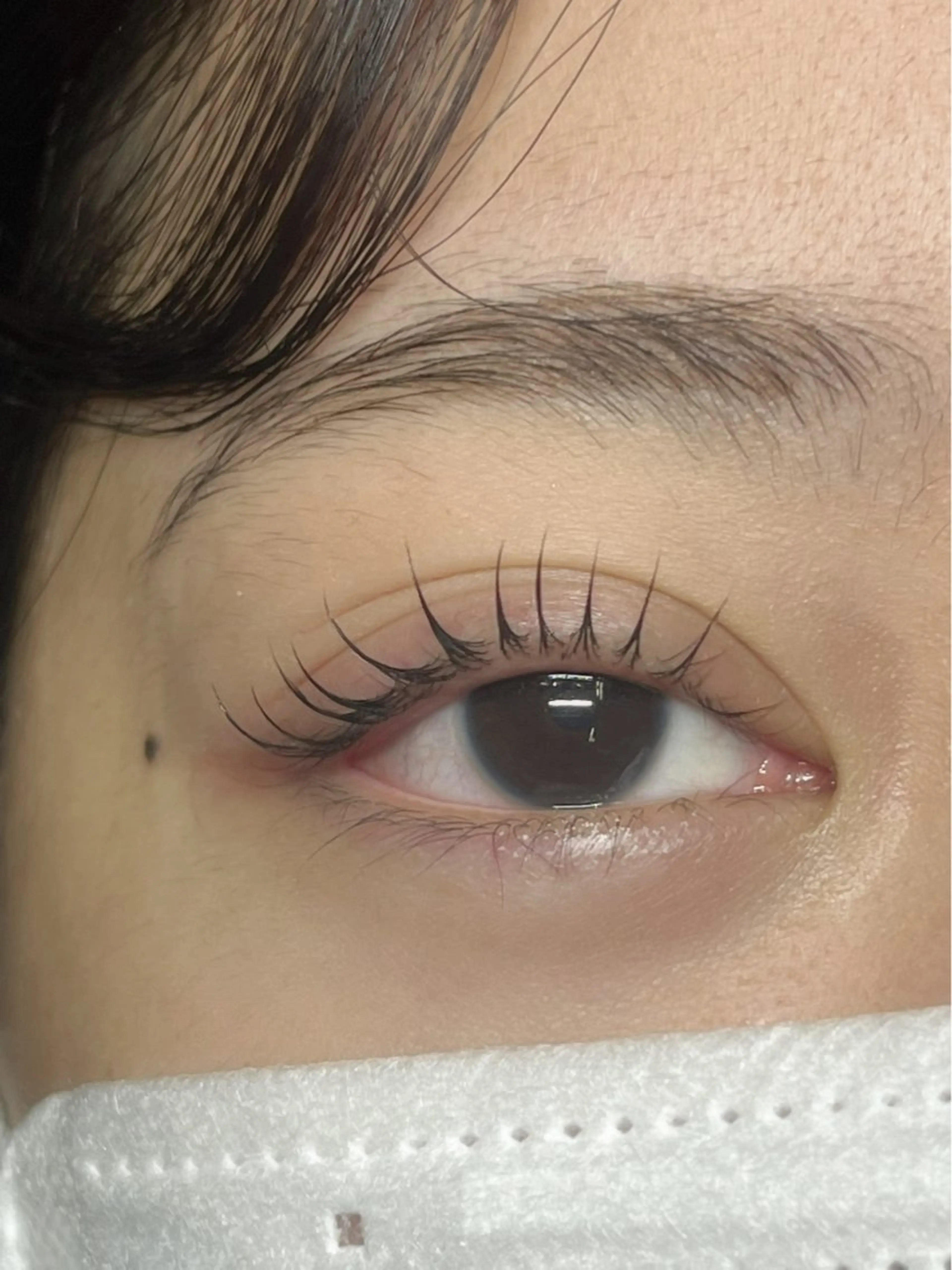 マツエク・マツパ Lupines🐱 SHIHORIのマツエク・マツパデザイン