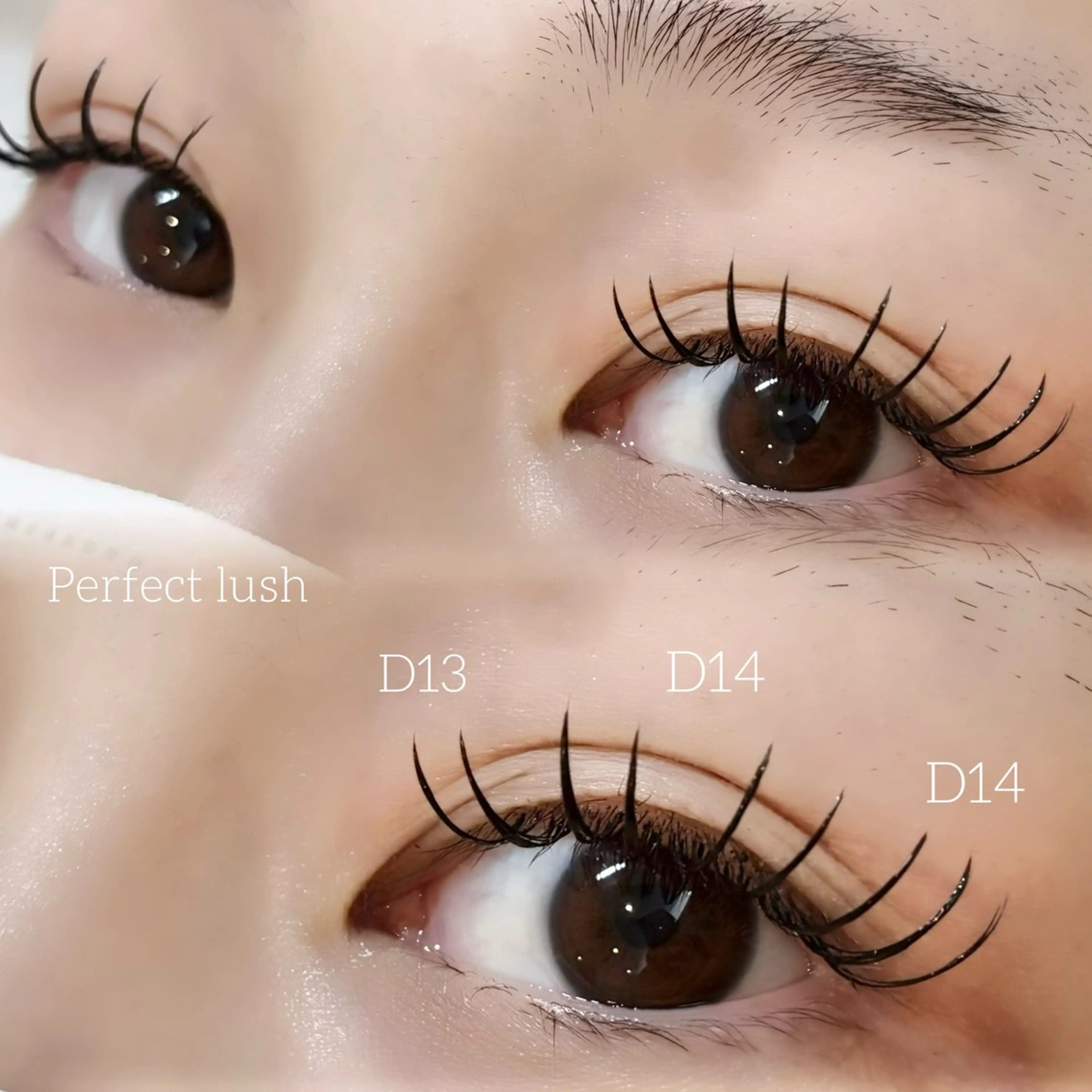 マツエク・マツパ オヤユビヒメ 新田辺店のマツエク・マツパデザイン