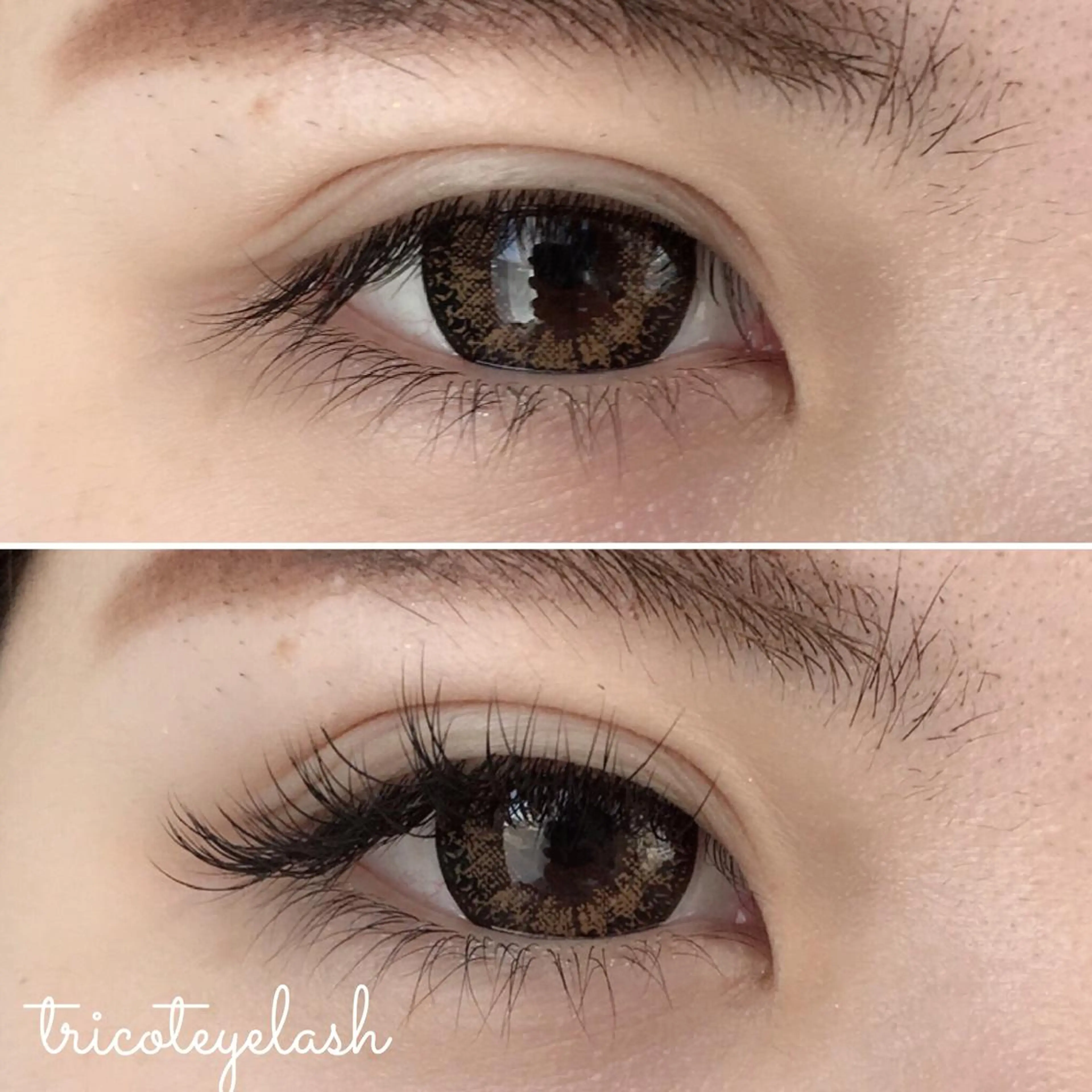 マツエク・マツパ CCカール Cカール セーブル tricot 藤元のマツエク・マツパデザイン