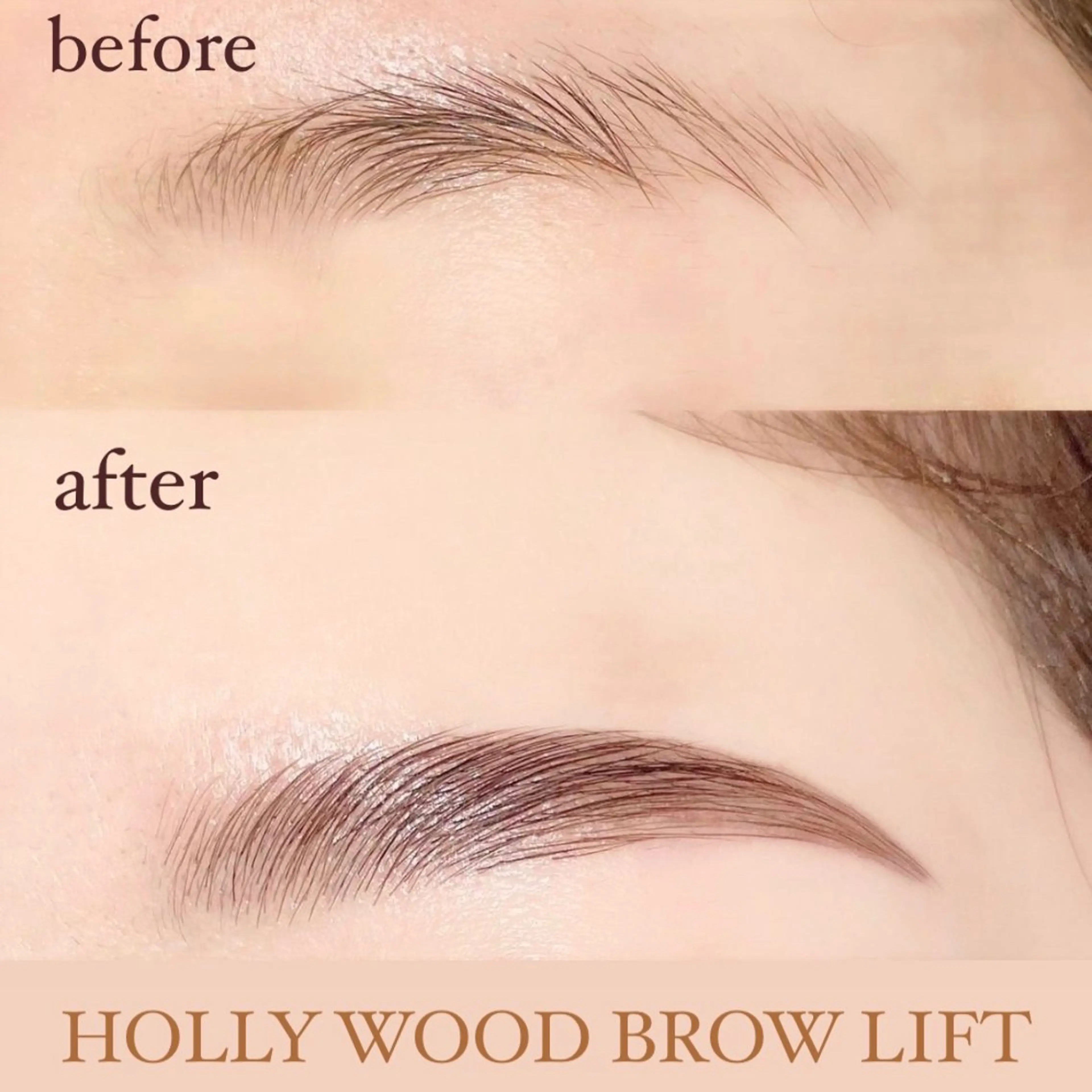 🤎【ハリウッドブロウリフト】薬液で毛流れを整える＊次世代眉毛パーマ▶︎ワックスシートで産毛除去✨の写真