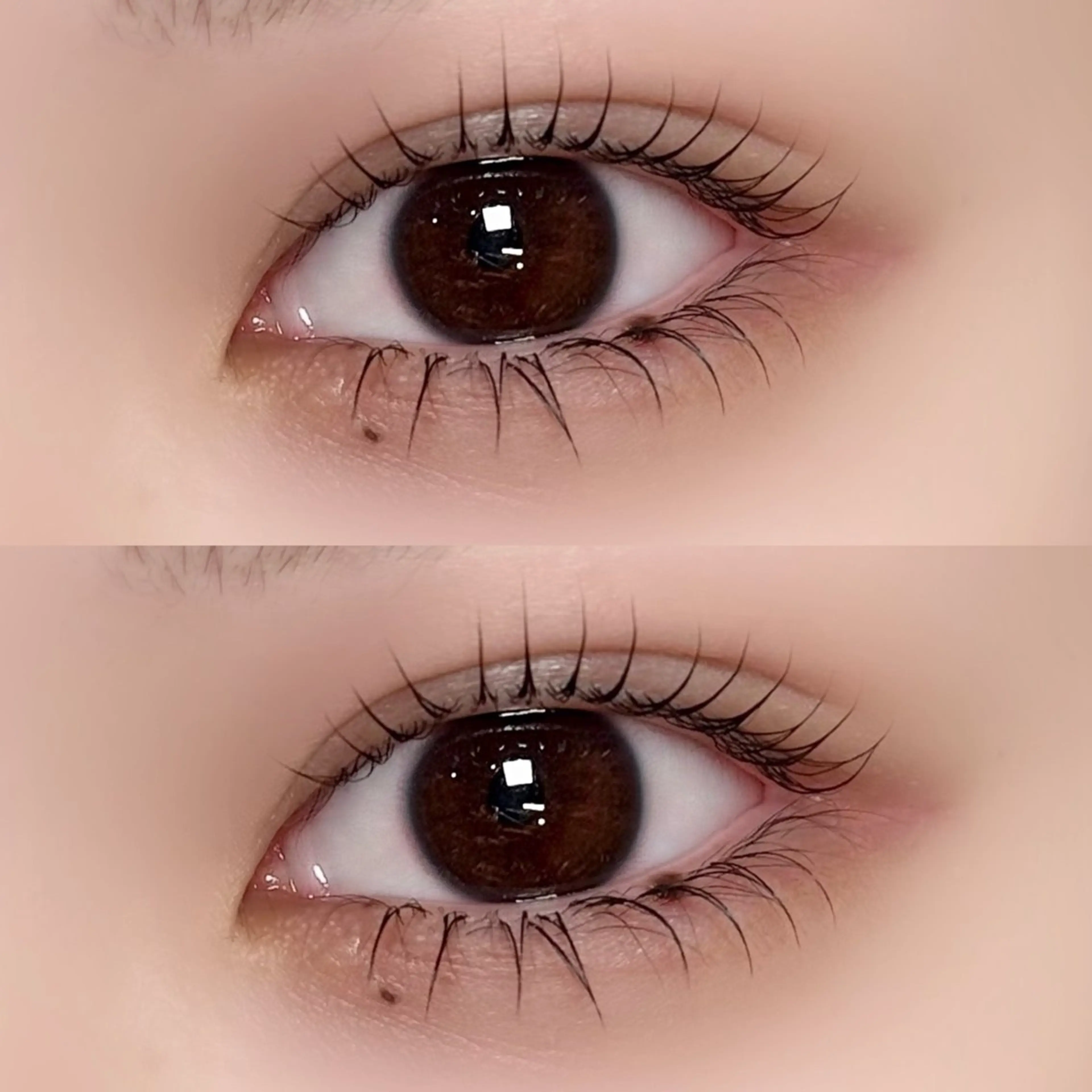 下まつ毛エクステ❤️‍🔥20本​〜​(10本あたり+500円) 他店リペアok◎の写真