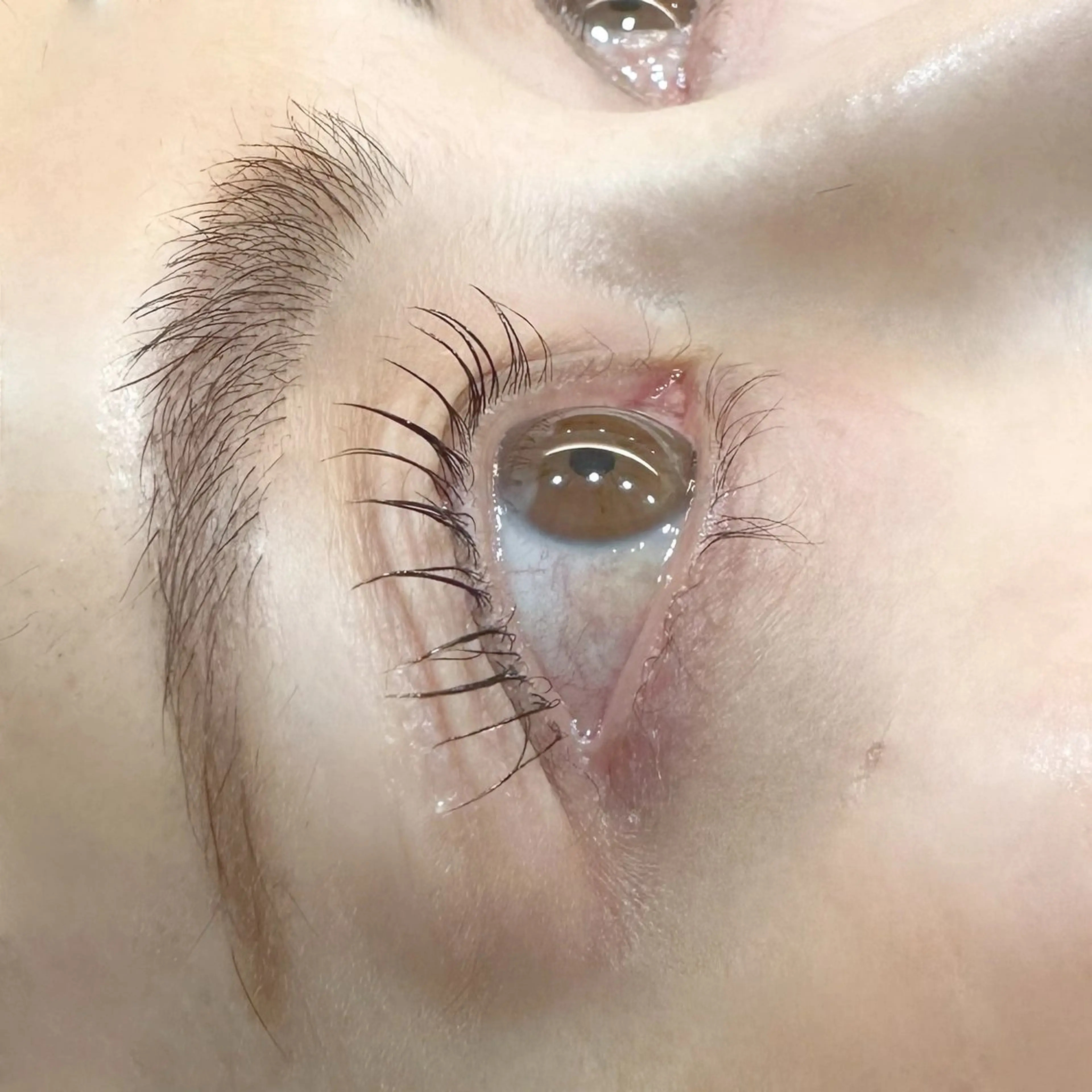 マツエク・マツパ ナチュラル セリオ安城店所属・稲生 彩花のマツエク・マツパデザイン