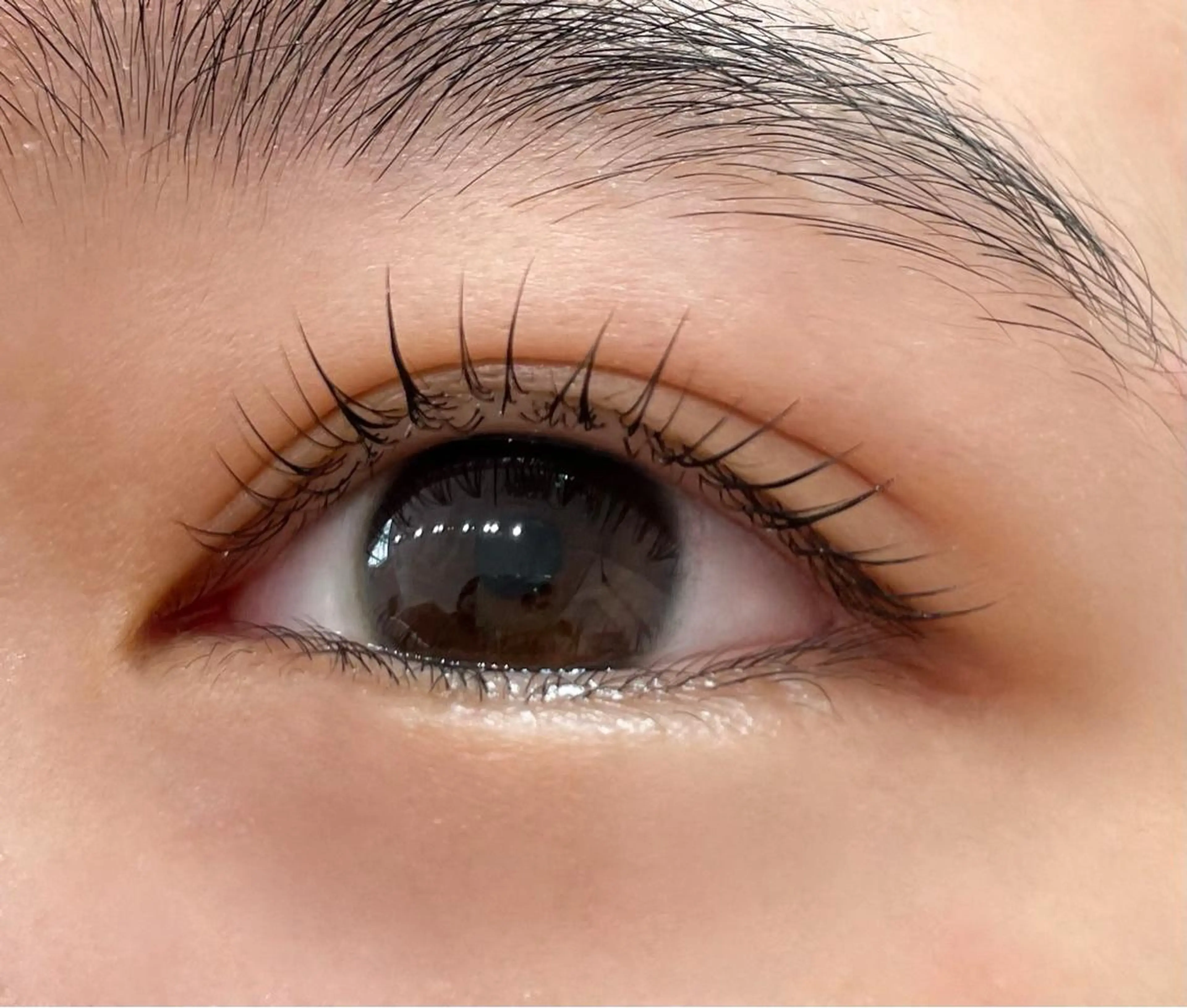 マツエク・マツパ ルタンリッシュ所属・Fukuda Sakiのマツエク・マツパデザイン