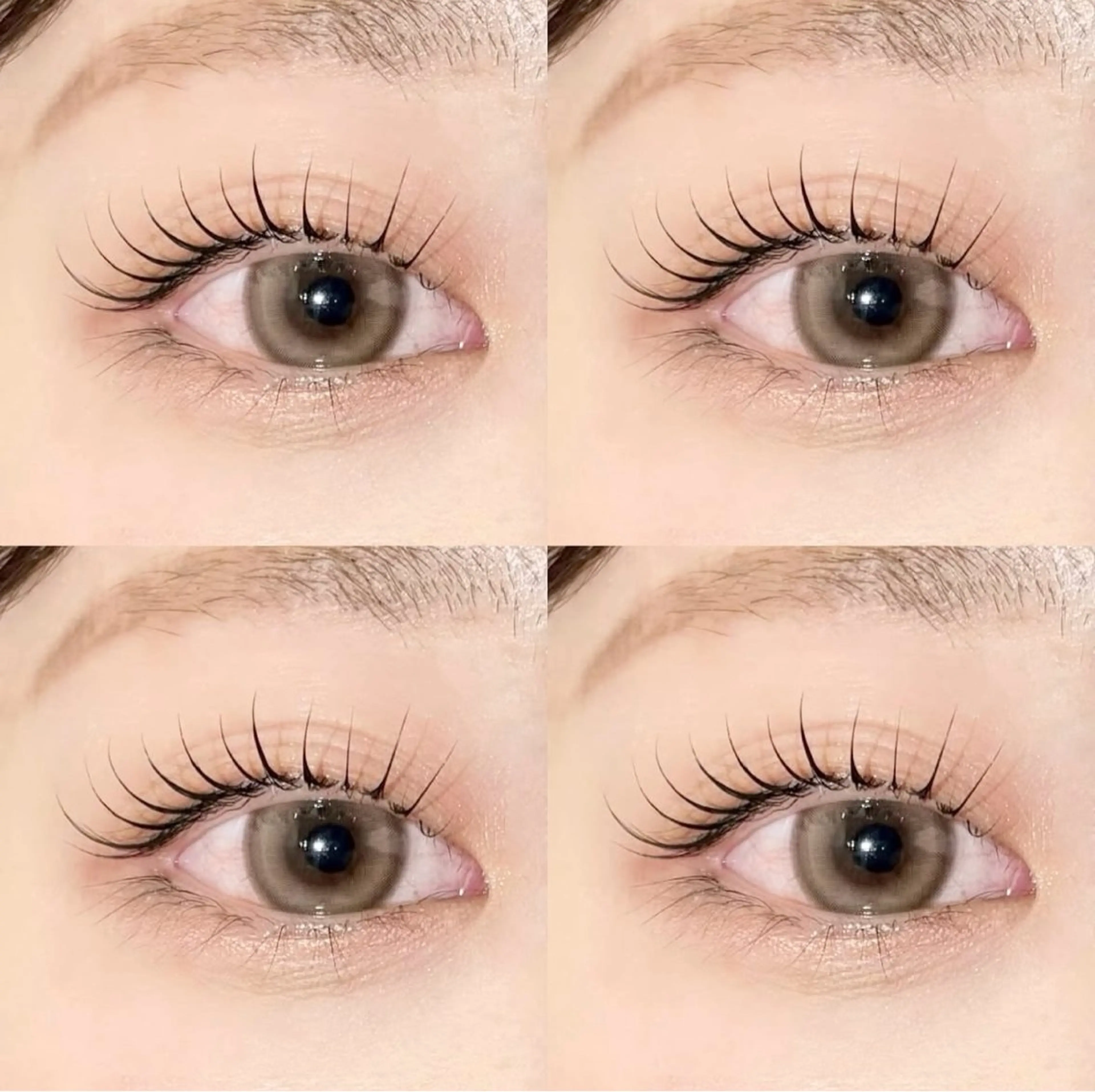 【ご新規様限定🤍】パリジェンヌラッシュリフト上のみ《TR込》¥6,000⇨¥4,500 (90分)の写真