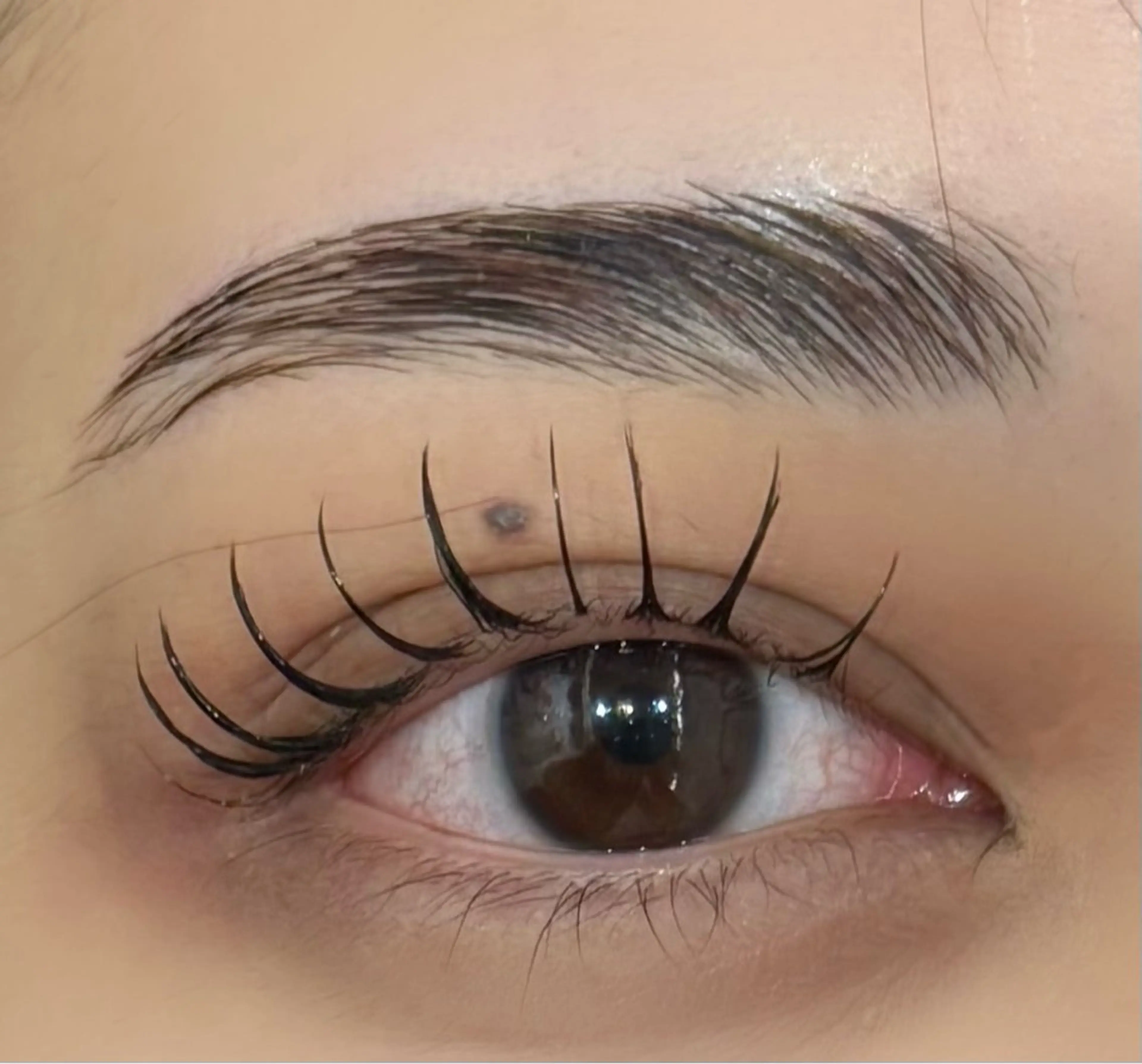 アイブロウ ワックス脱毛 眉カット その他(アイブロウ) EYELA misuzu✮のマツエク・マツパデザイン