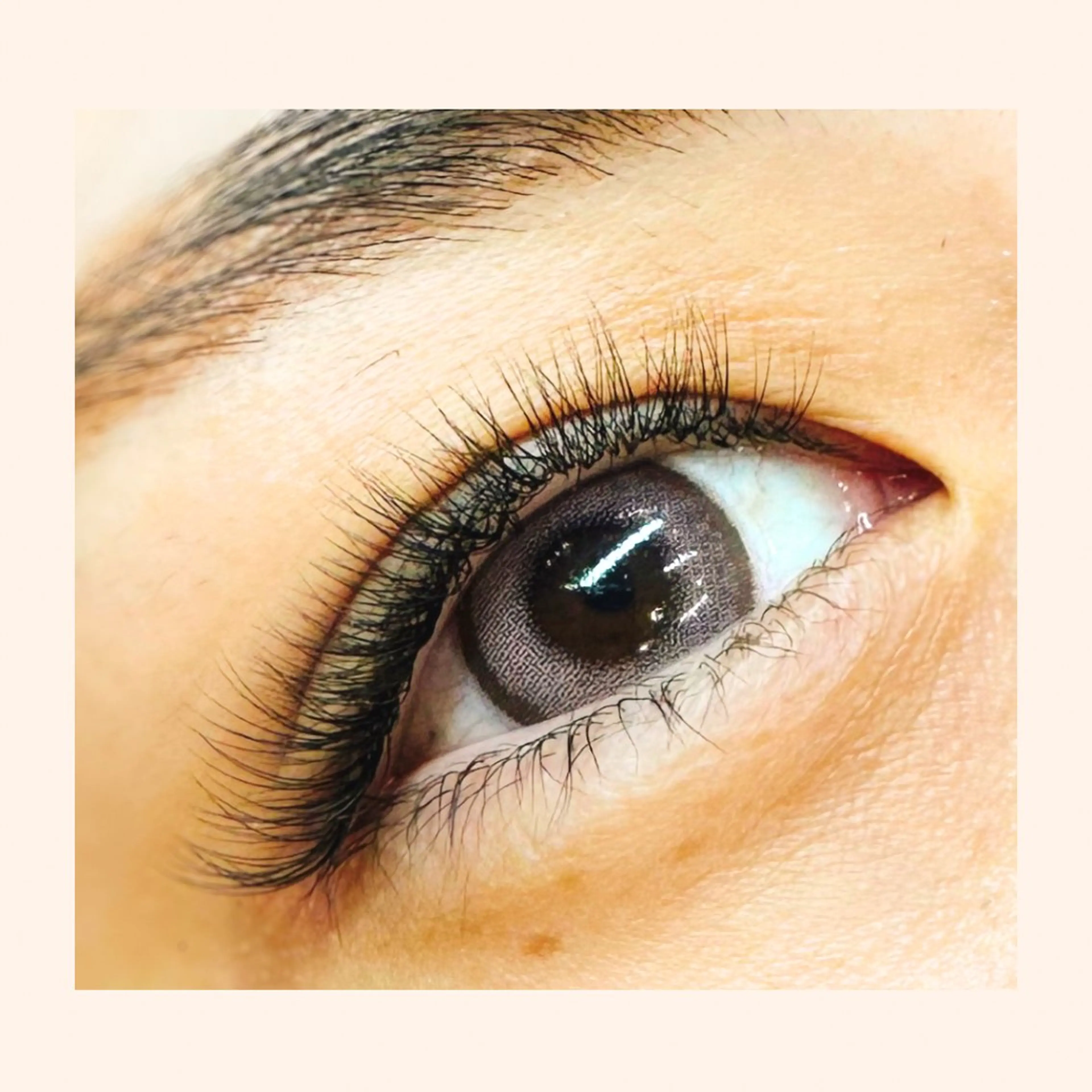 マツエク・マツパ Petila パティラ所属・Petila🐈⬛ Mayuriのマツエク・マツパデザイン