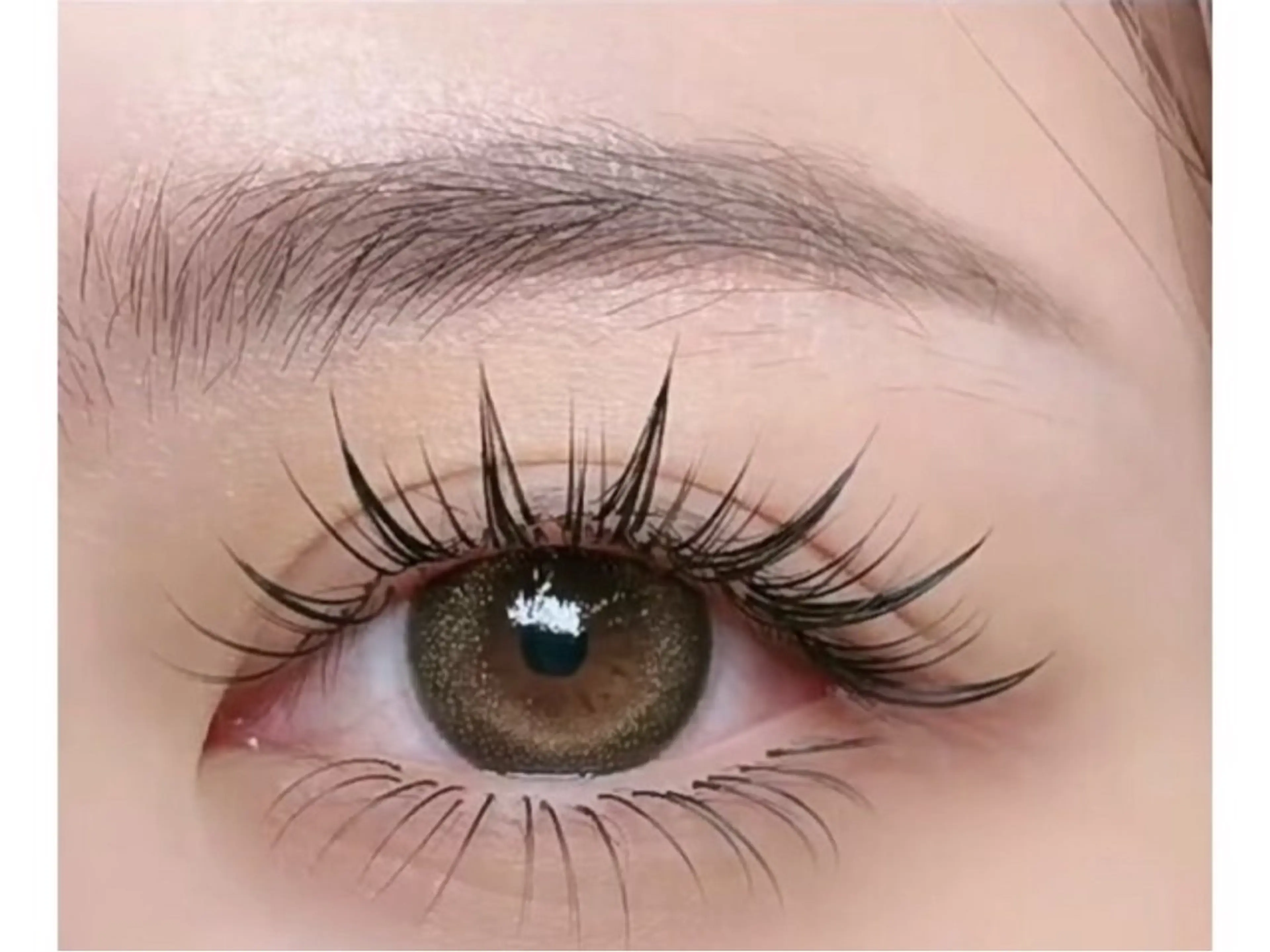 【ワンホン】マンガ デザイン ナチュラル（上）👀✨の写真