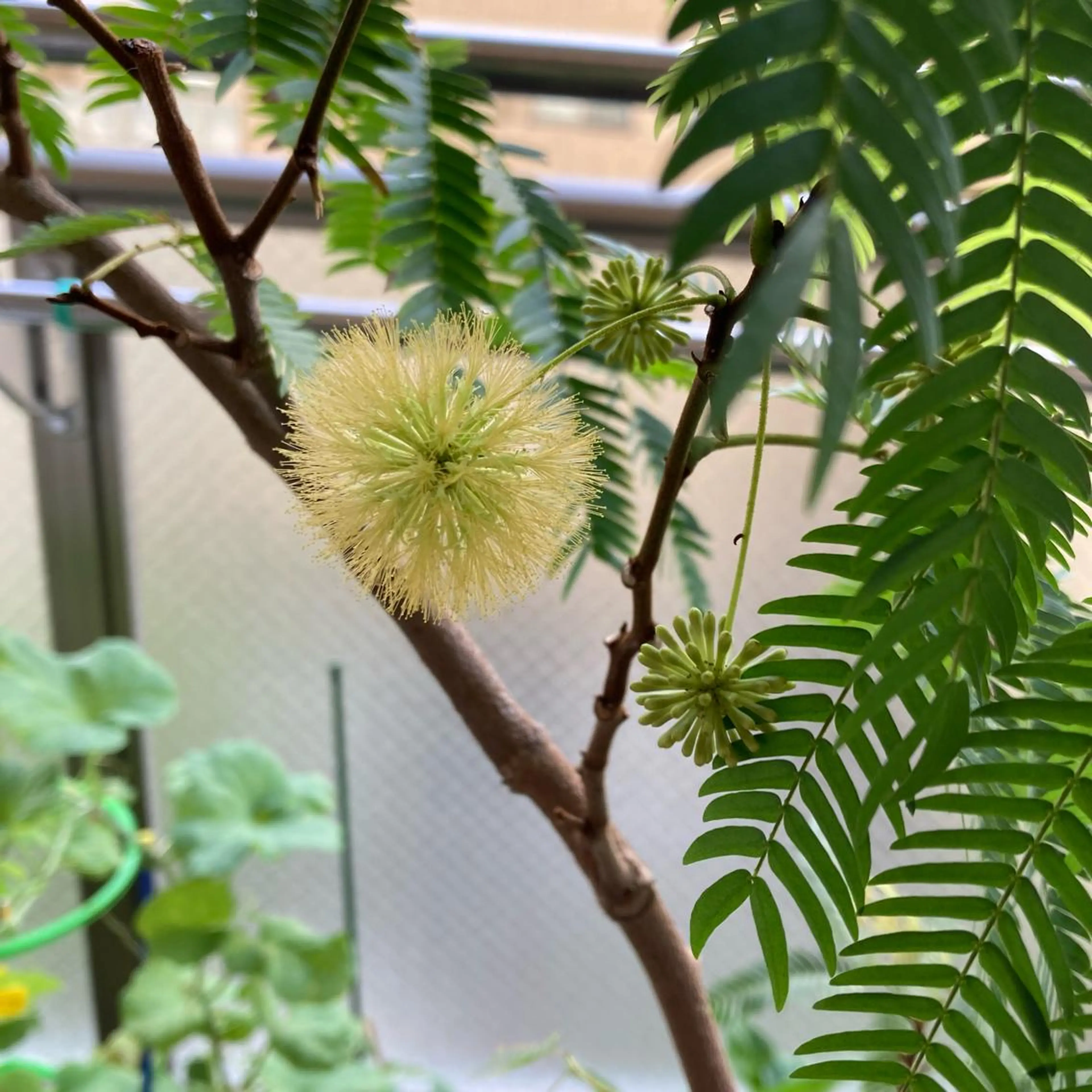 エステ 毛穴ケア・肌質改善 徳川のエステ・リラクイメージ