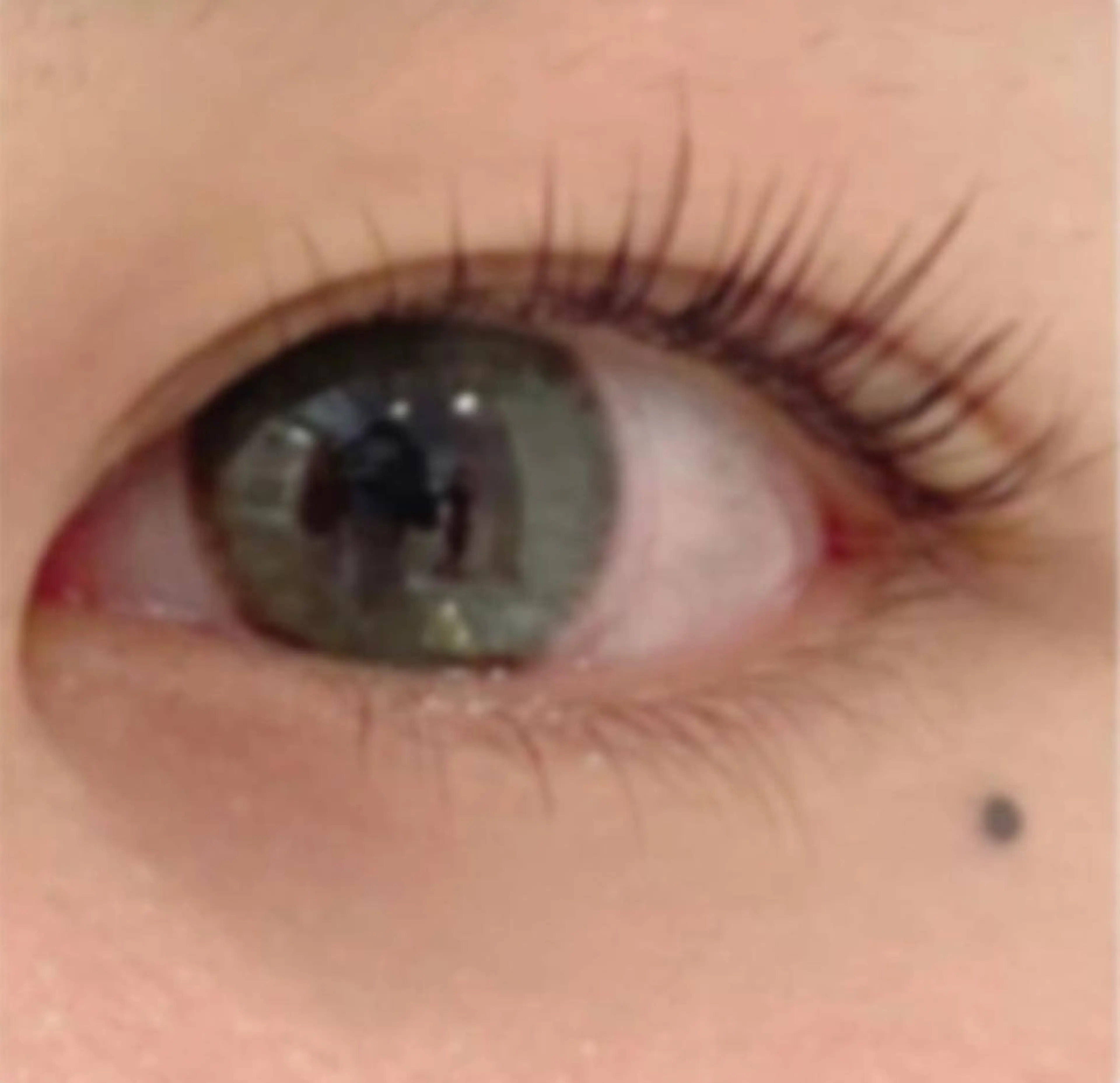 マツエク・マツパ ALETTADONA 北千住✨katoのマツエク・マツパデザイン