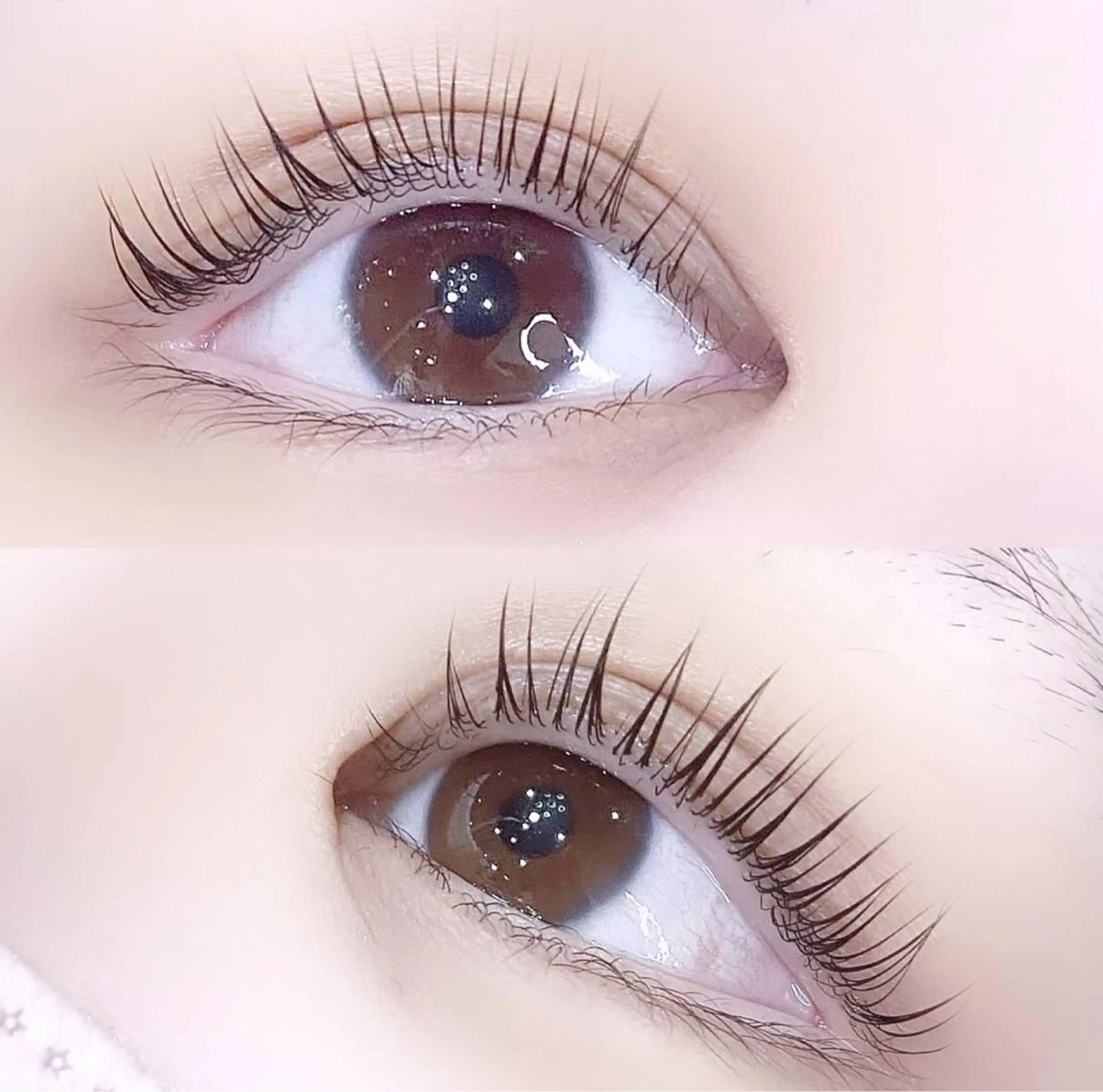 【3/9~15限定】まつげパーマモデル10:00/11:30/13:00/14:30/16:00/17:30の写真