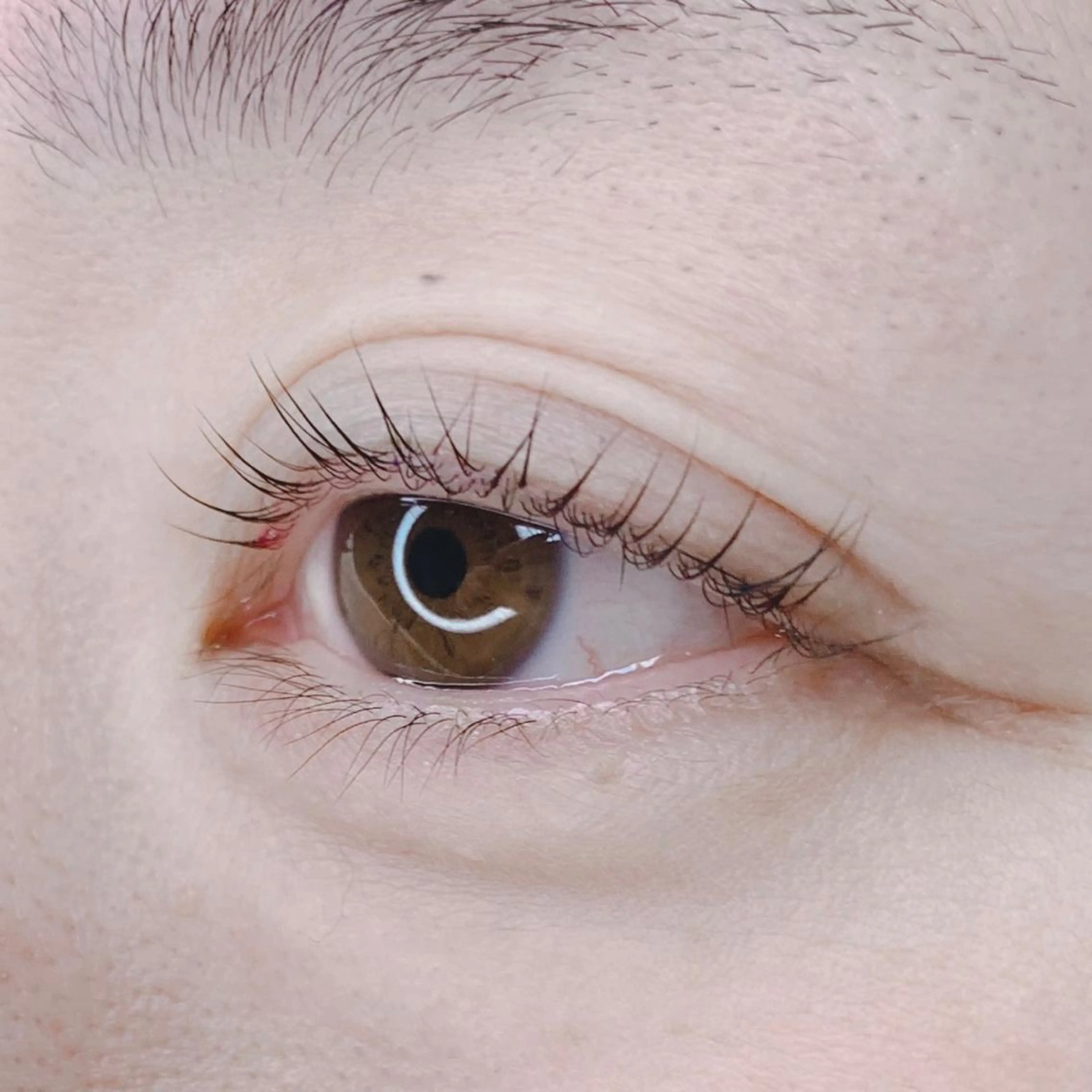 マツエク・マツパ joieange 🕊️のマツエク・マツパデザイン