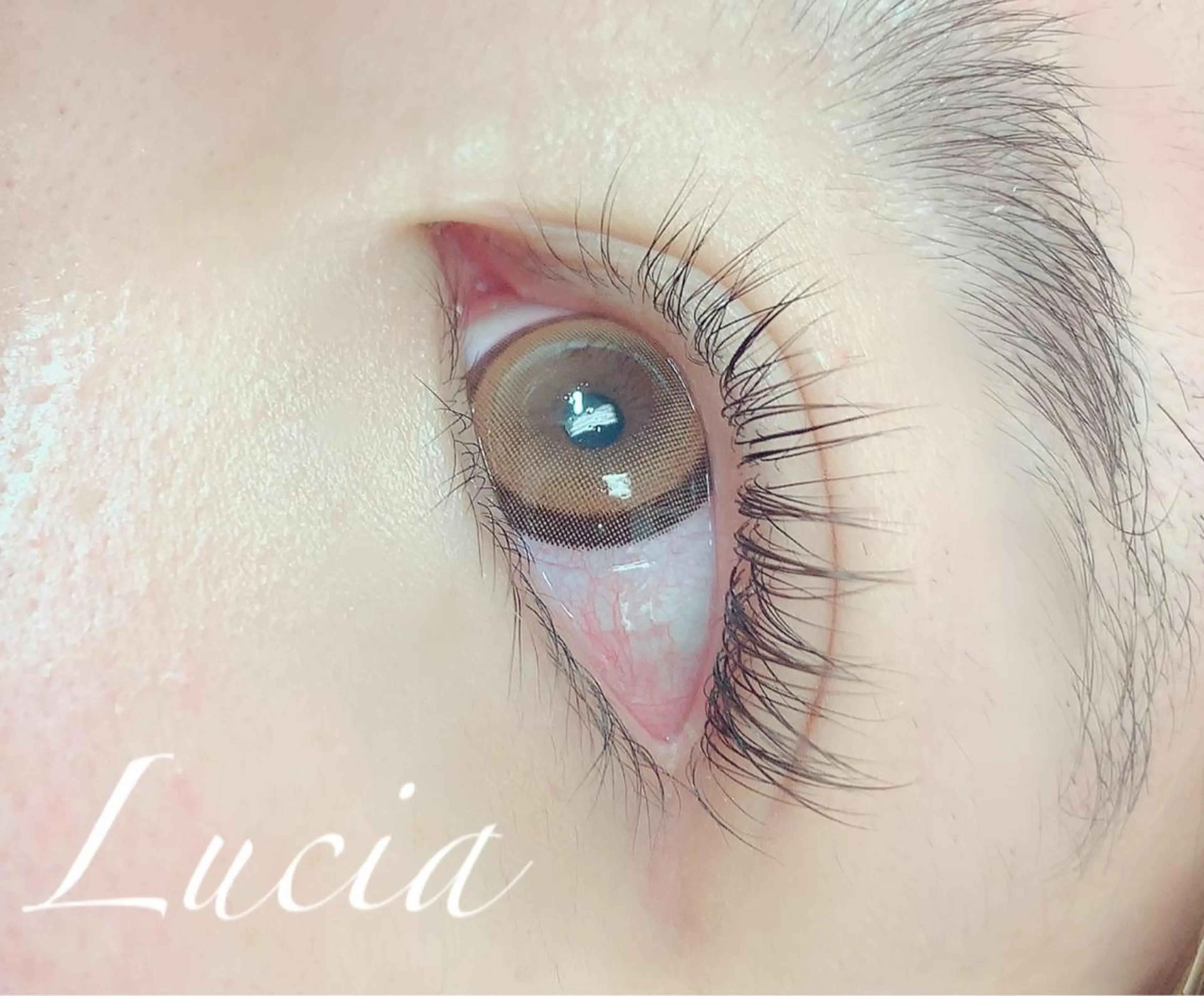 マツエク・マツパ Lucia志木店所属・Lucia志木店 ISHIOKAのその他イメージ