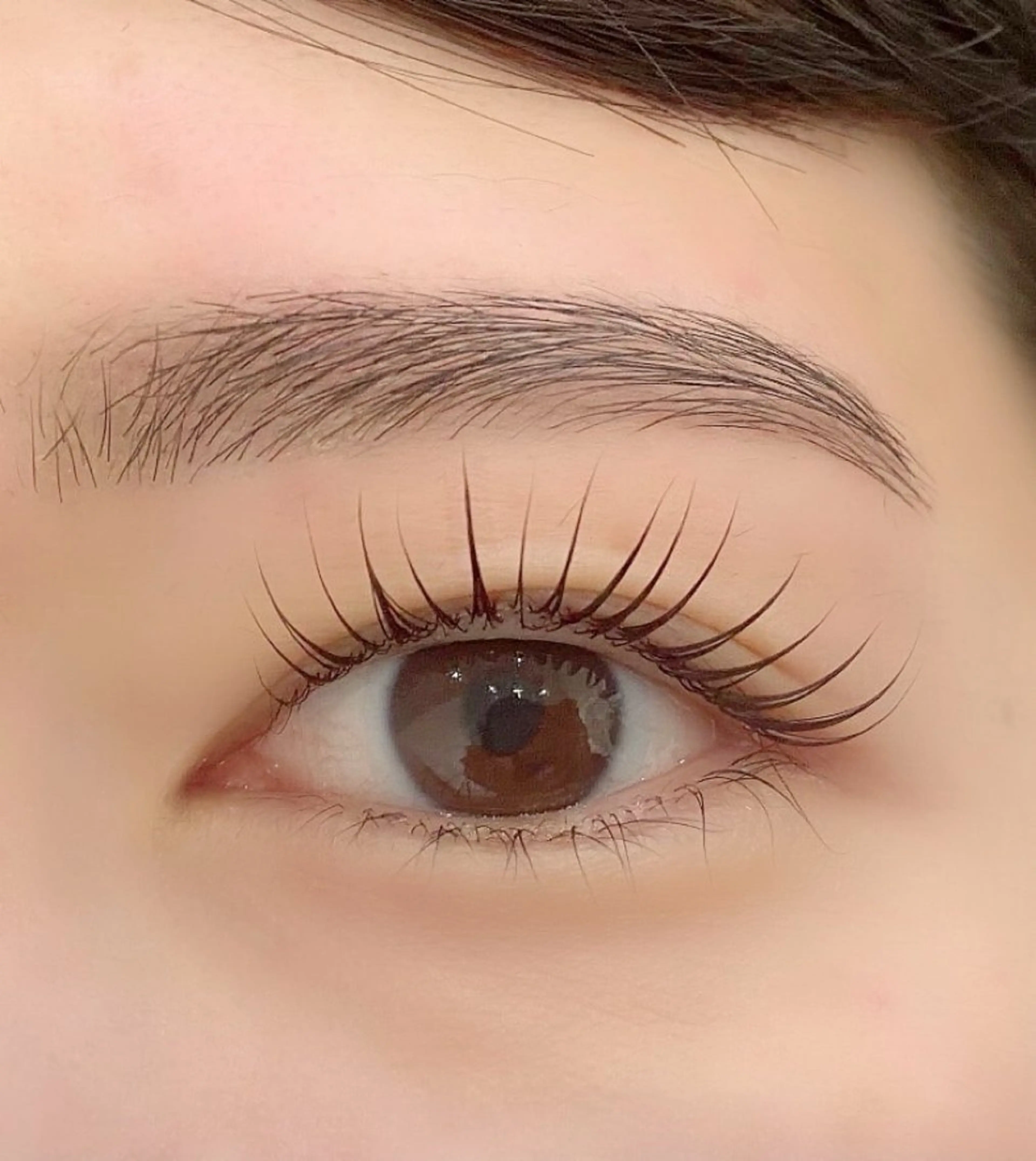 🎀3種まつ毛パーマ🎀【コーティング/アイシャンプー付🫧】の写真