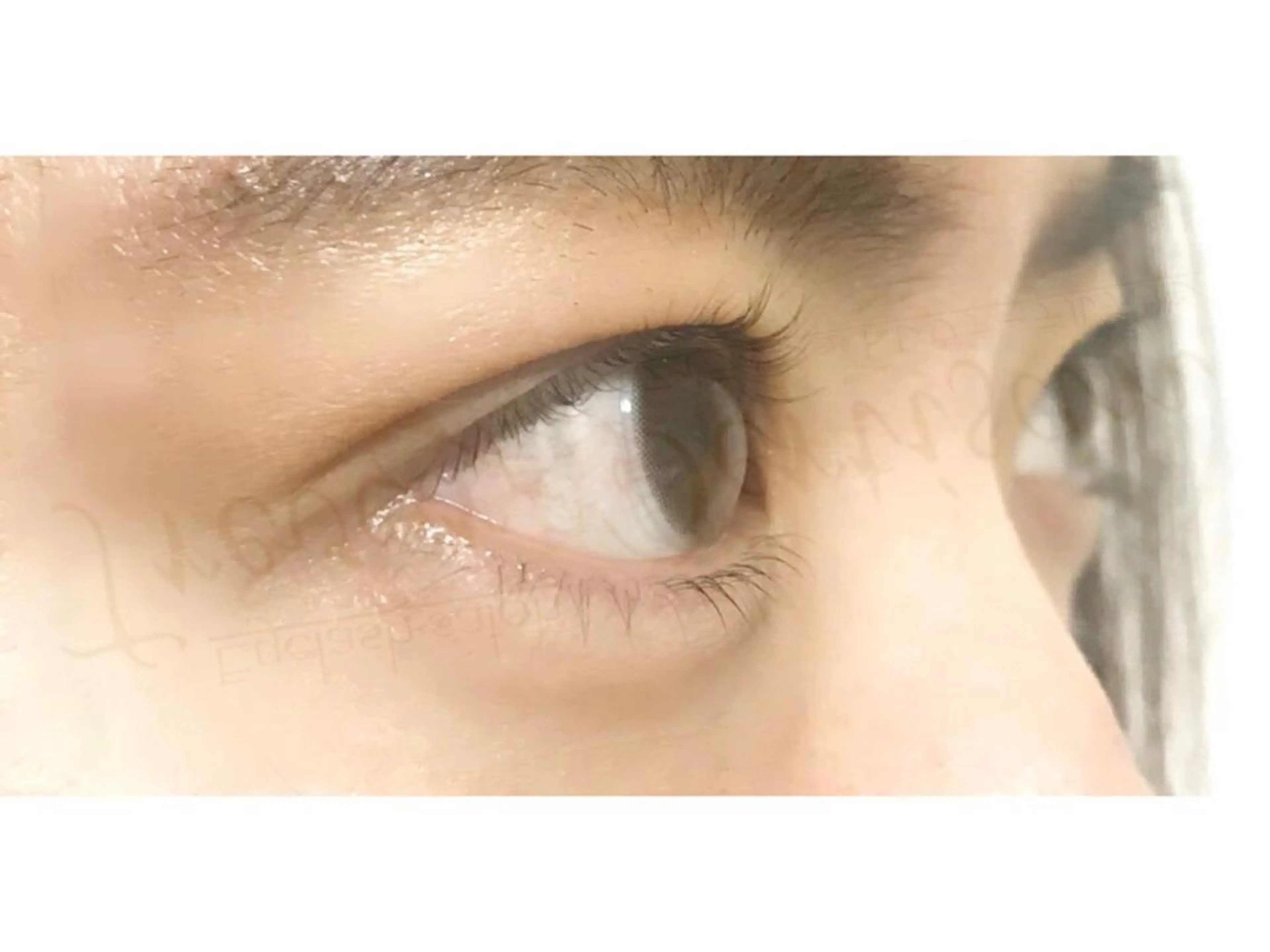 マツエク・マツパ トレヴァーデルチザン inuiのマツエク・マツパデザイン