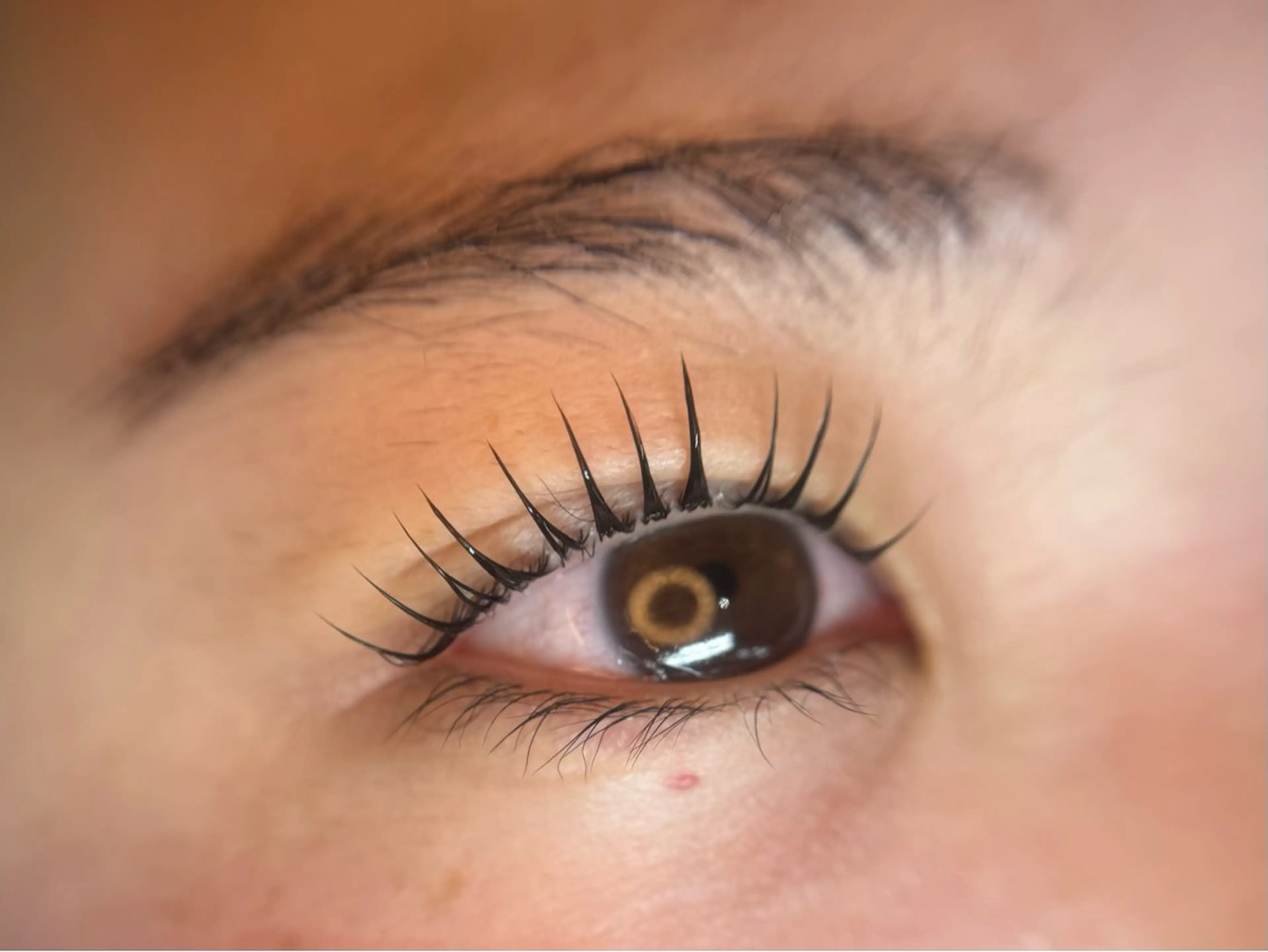 マツエク・マツパ 韓国風マツエク まつげパーマ マツパ gioia KIMのマツエク・マツパデザイン