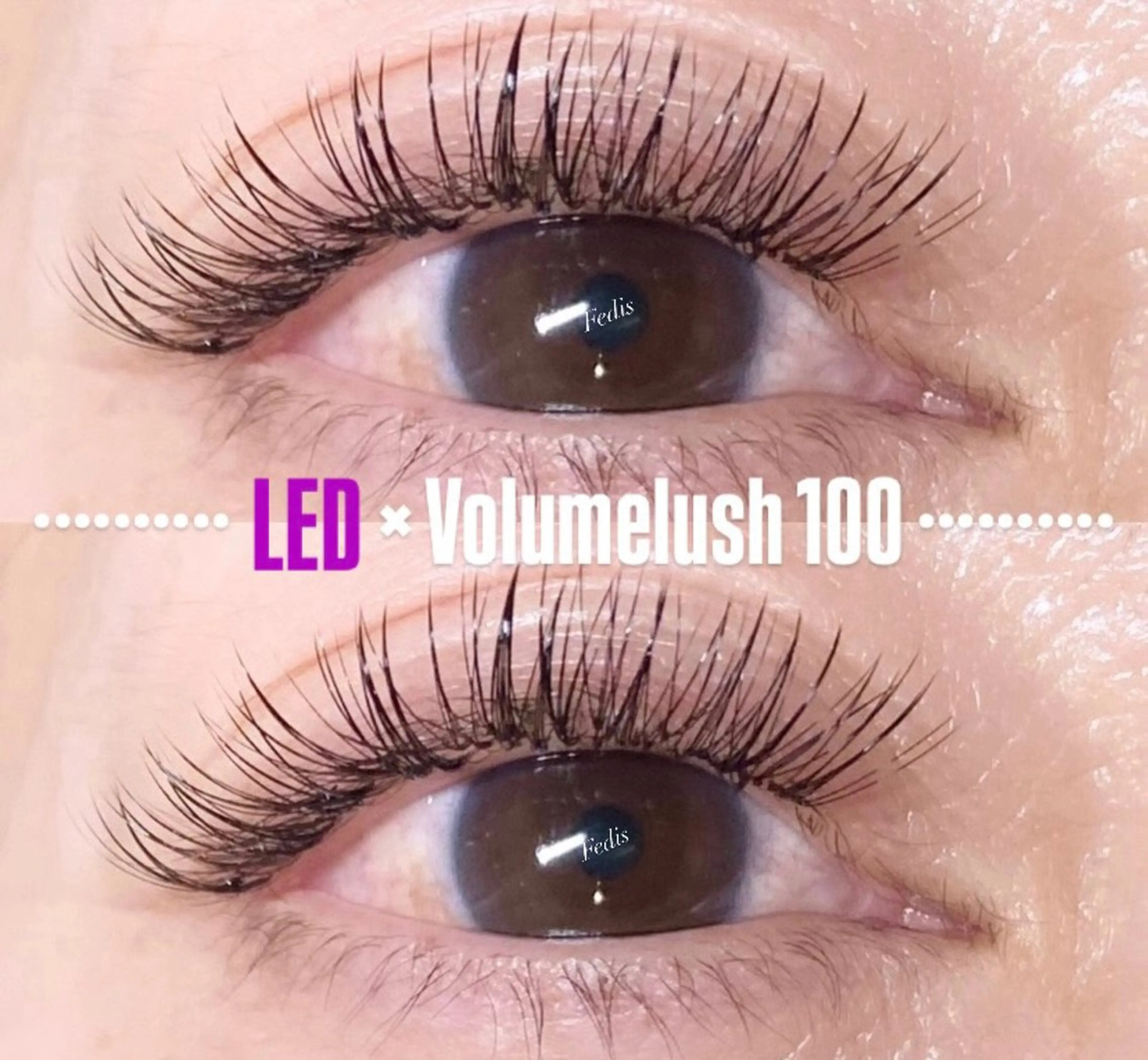 🌈新規価格！🌈💘LED⚡︎ボリュームラッシュ(100束)コーティング仕上げ付き🧡ᩚ💛ᩚの写真