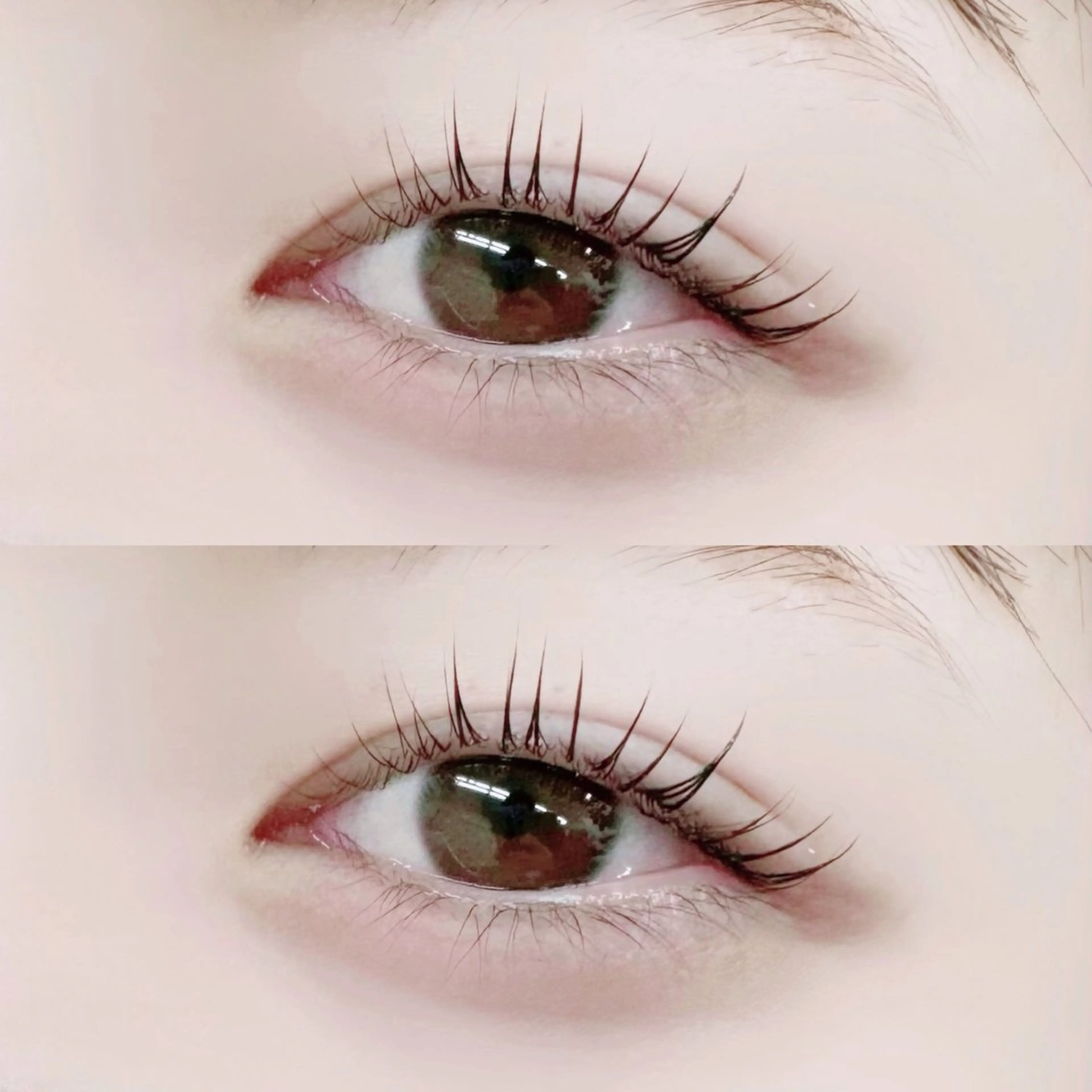 【🎀1月ご来店限定🎀】韓国風🫧フラットラッシュ120本¥6000→¥5000の写真