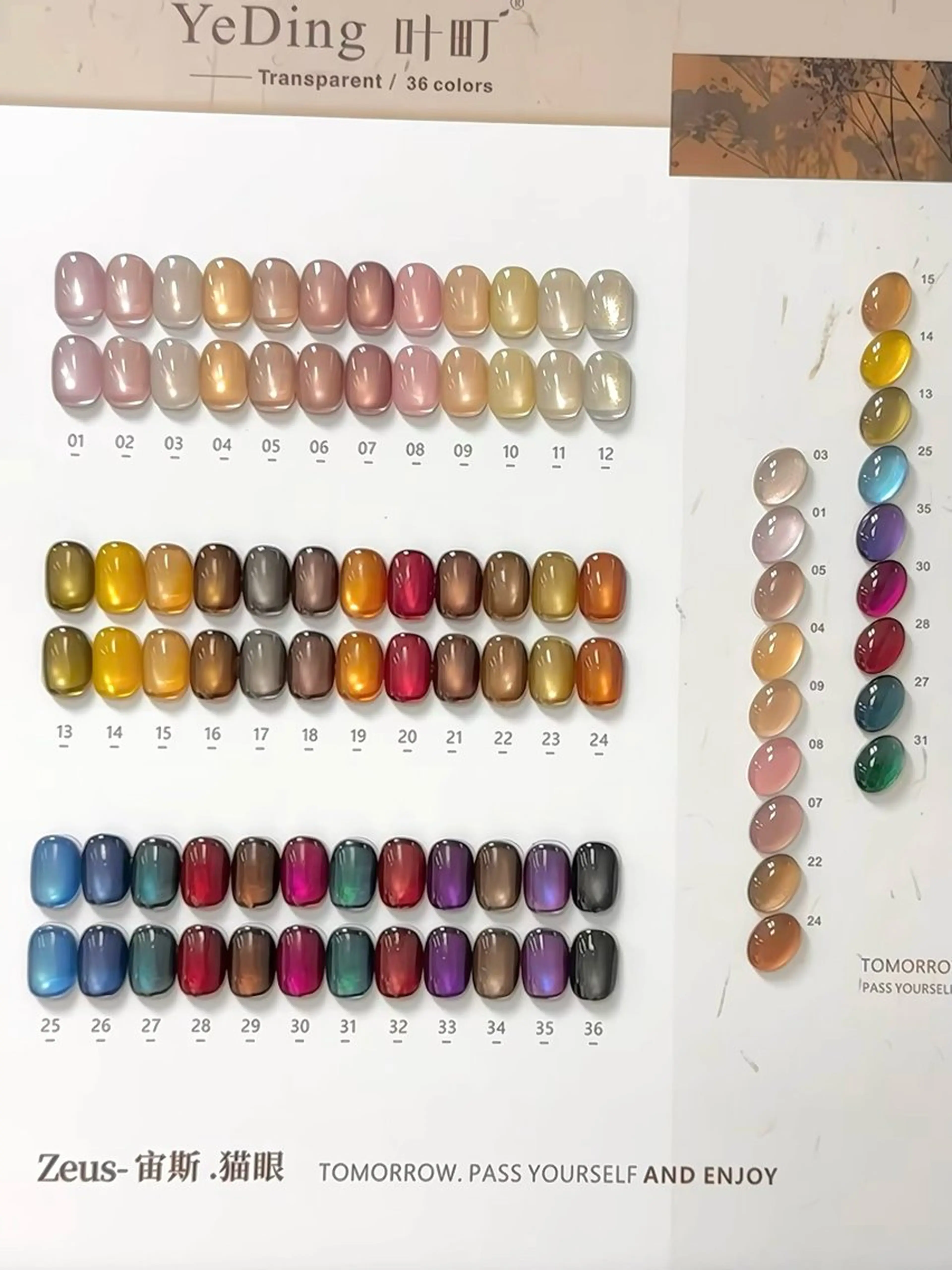 🌈🌈【人気01】【初回限定】マグネット·ワンカラー【オフ込み】甘皮ケア＋保湿オイルの写真