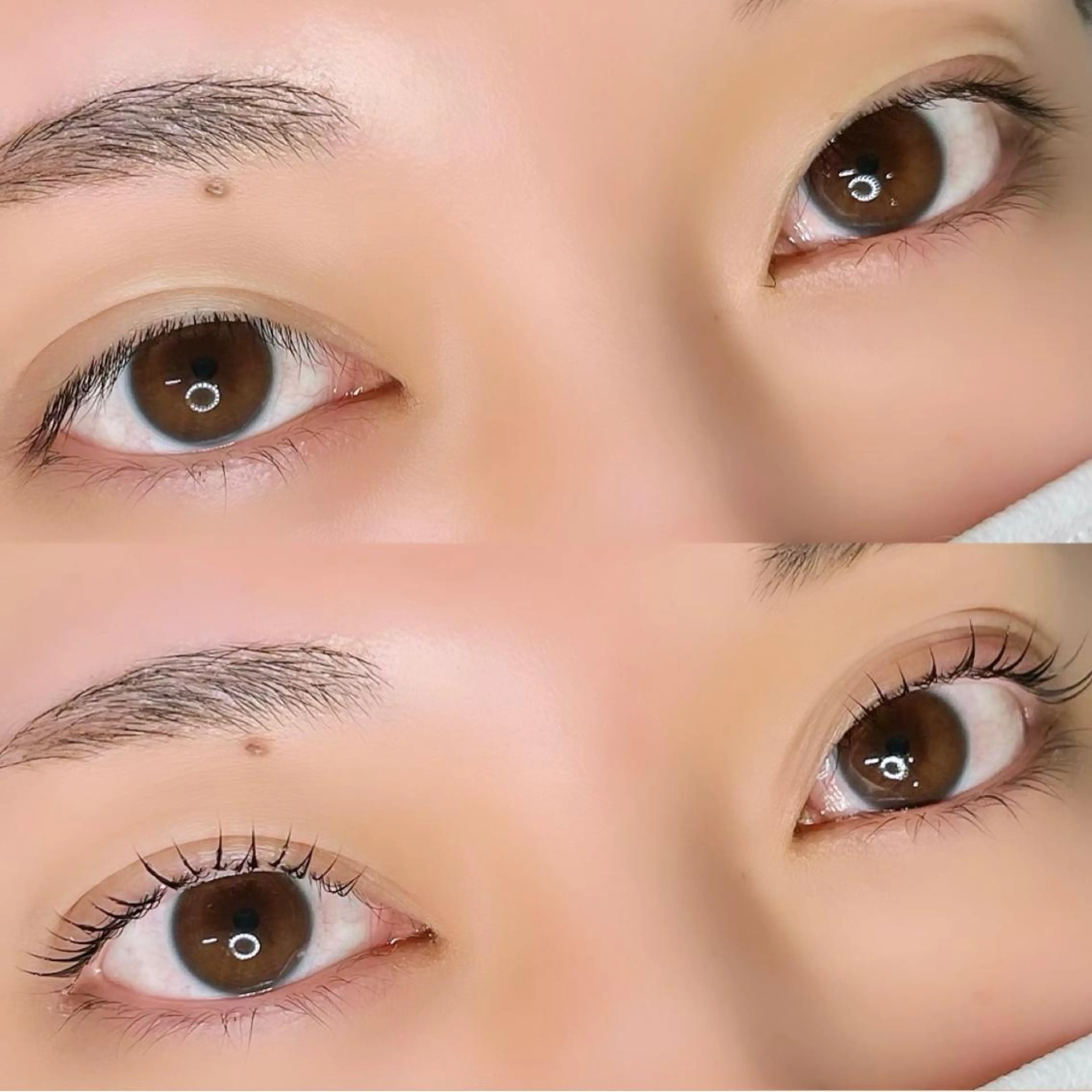 マツエク・マツパ Rediant所属・Rediant 🌼 eyelashのマツエク・マツパデザイン