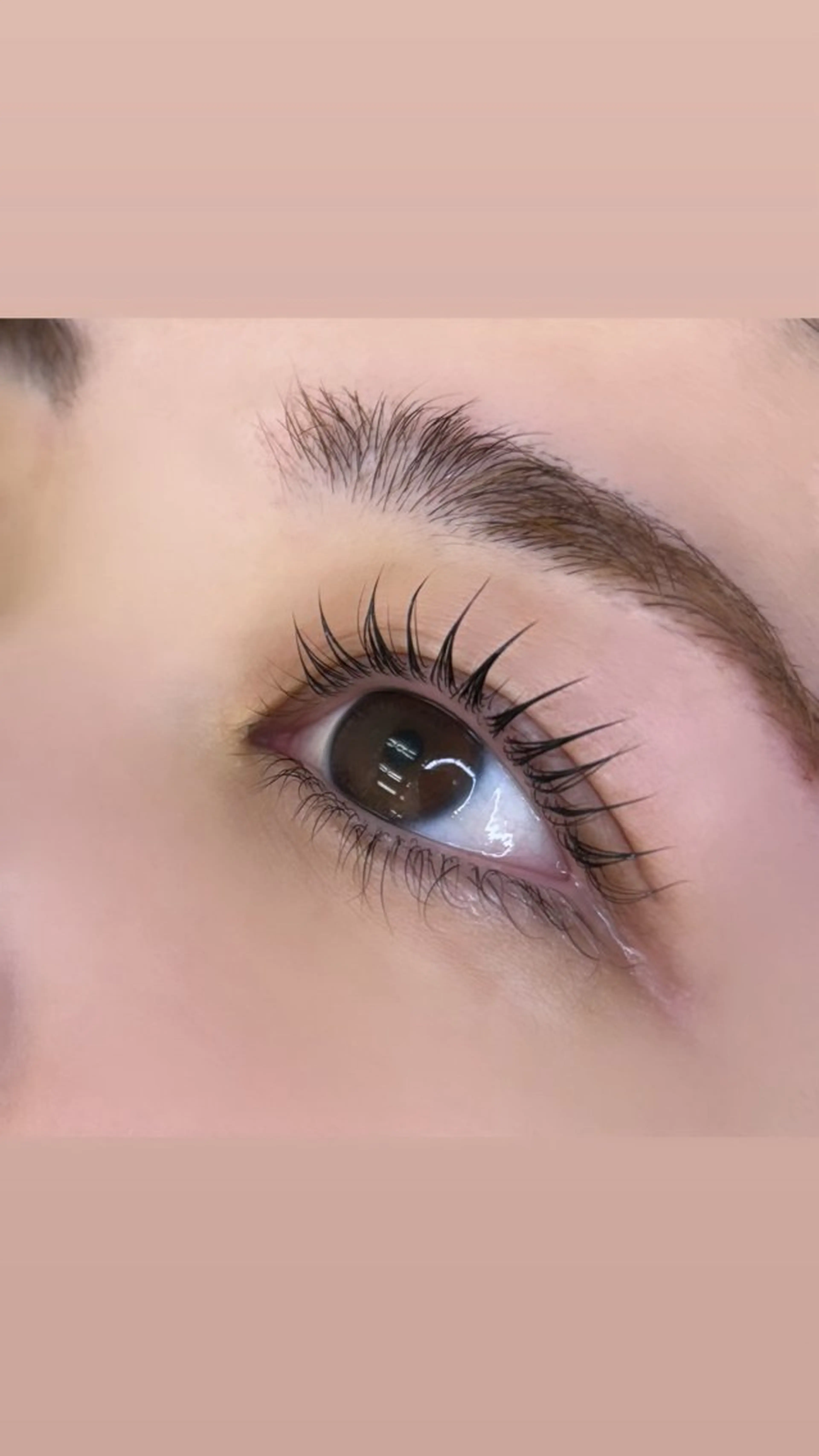 マツエク・マツパ パリジェンヌラッシュリフト IVY-NUE HITOMIのマツエク・マツパデザイン