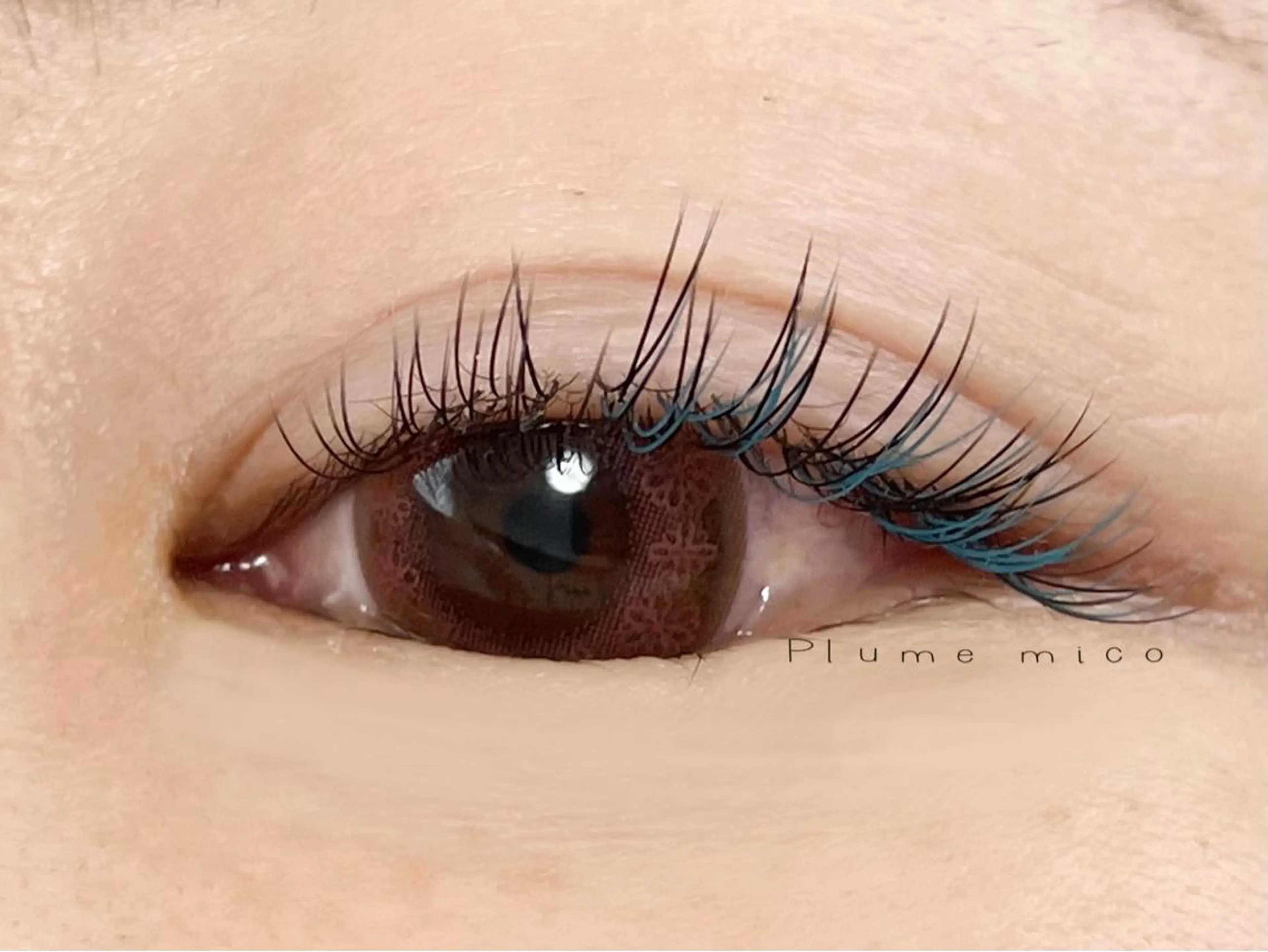 マツエク・マツパ マツエク Plume micoのマツエク・マツパデザイン