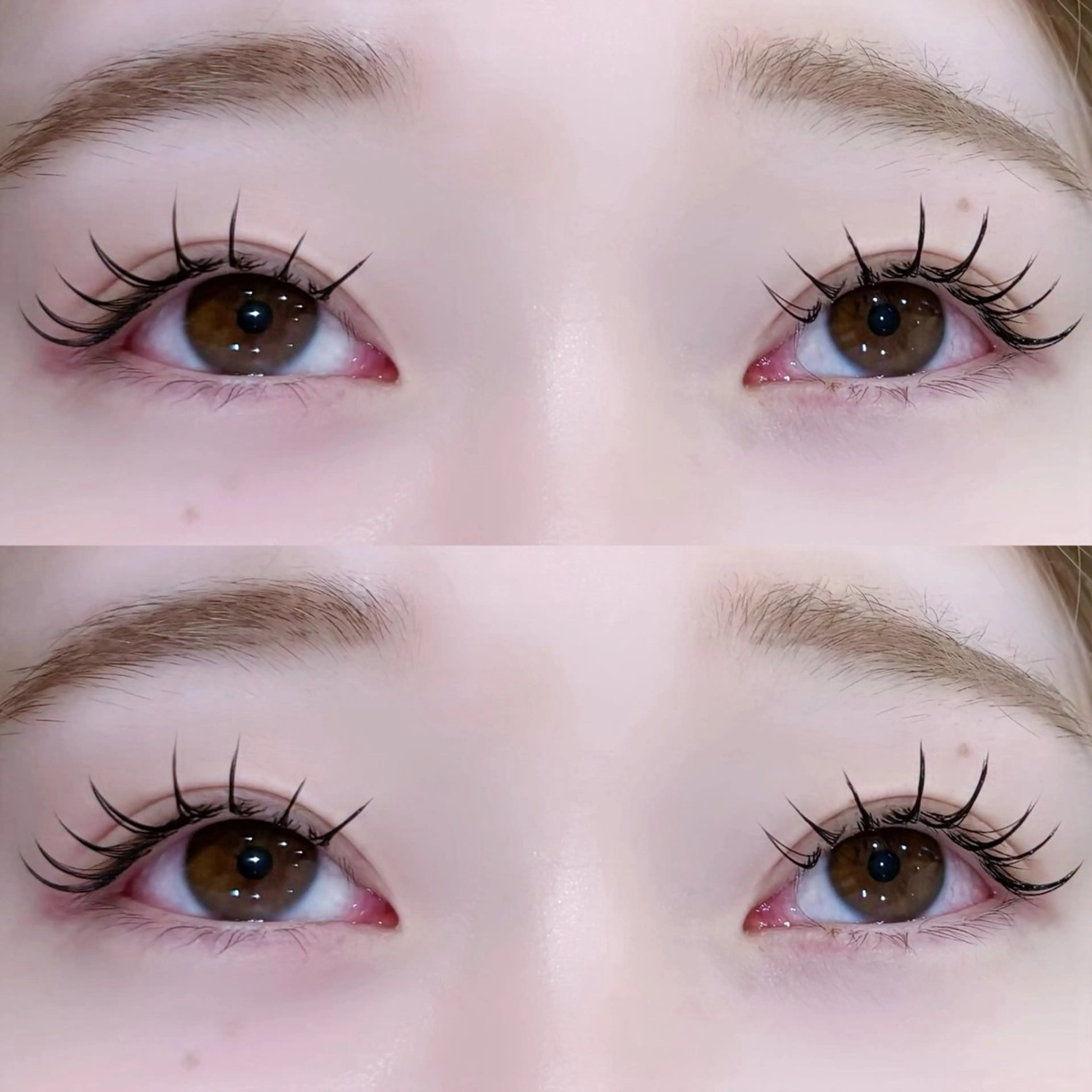 マツエク・マツパ Cカール フラットラッシュ マツエク Eye ELSA lash🤍東のマツエク・マツパデザイン