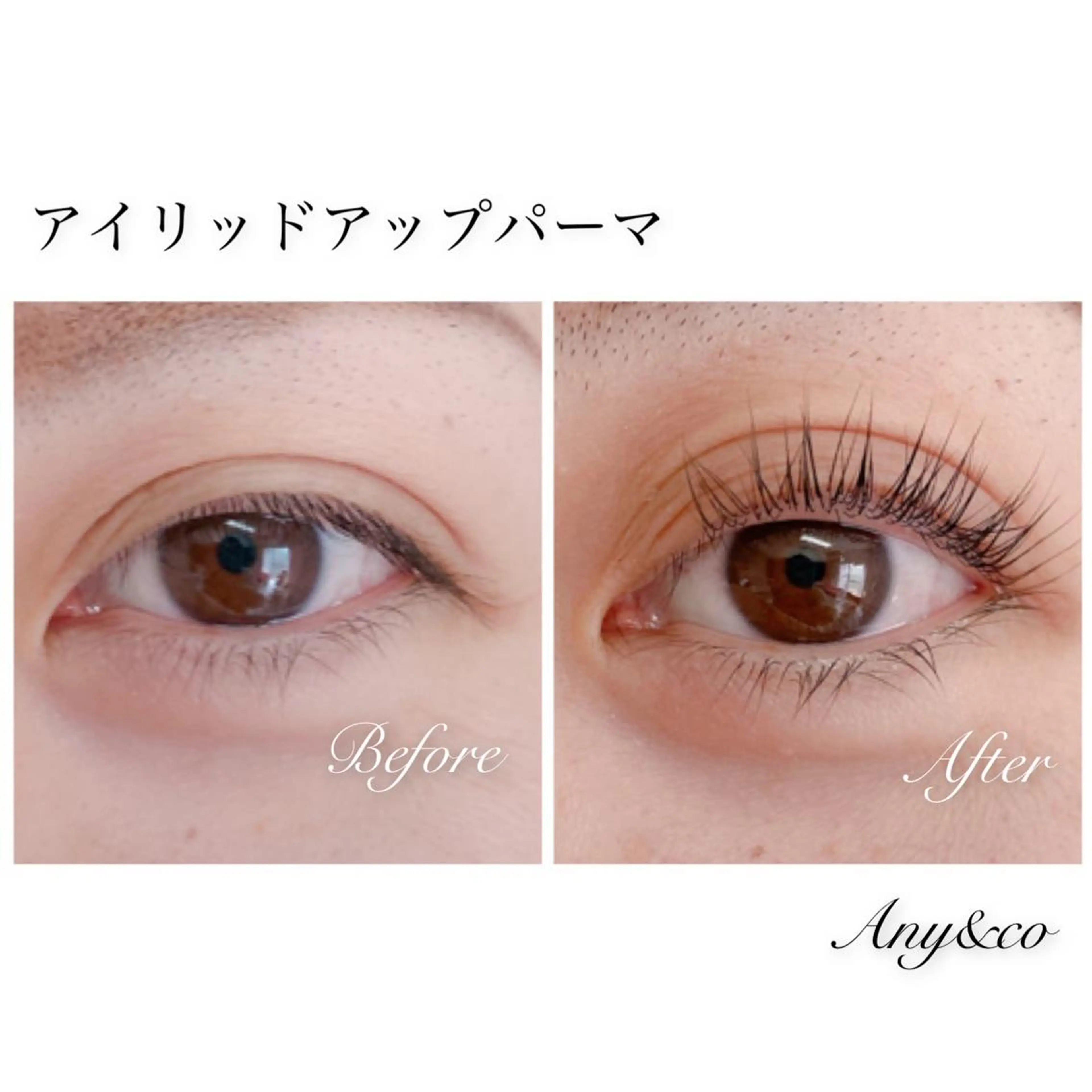 マツエク・マツパ アイリッドアップパーマ Any&co 【エニコ】のマツエク・マツパデザイン