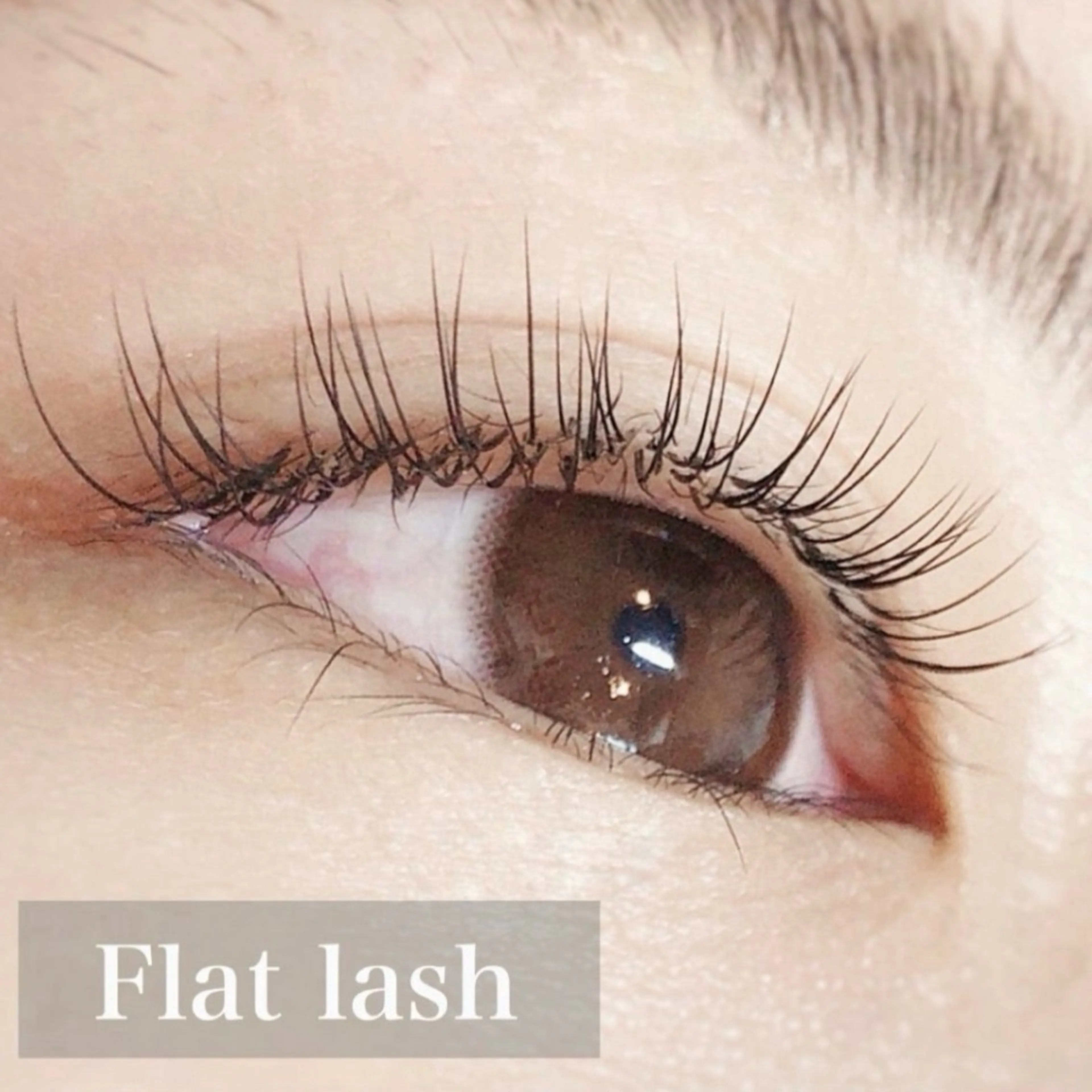 マツエク・マツパ 横尾 朱理のマツエク・マツパデザイン