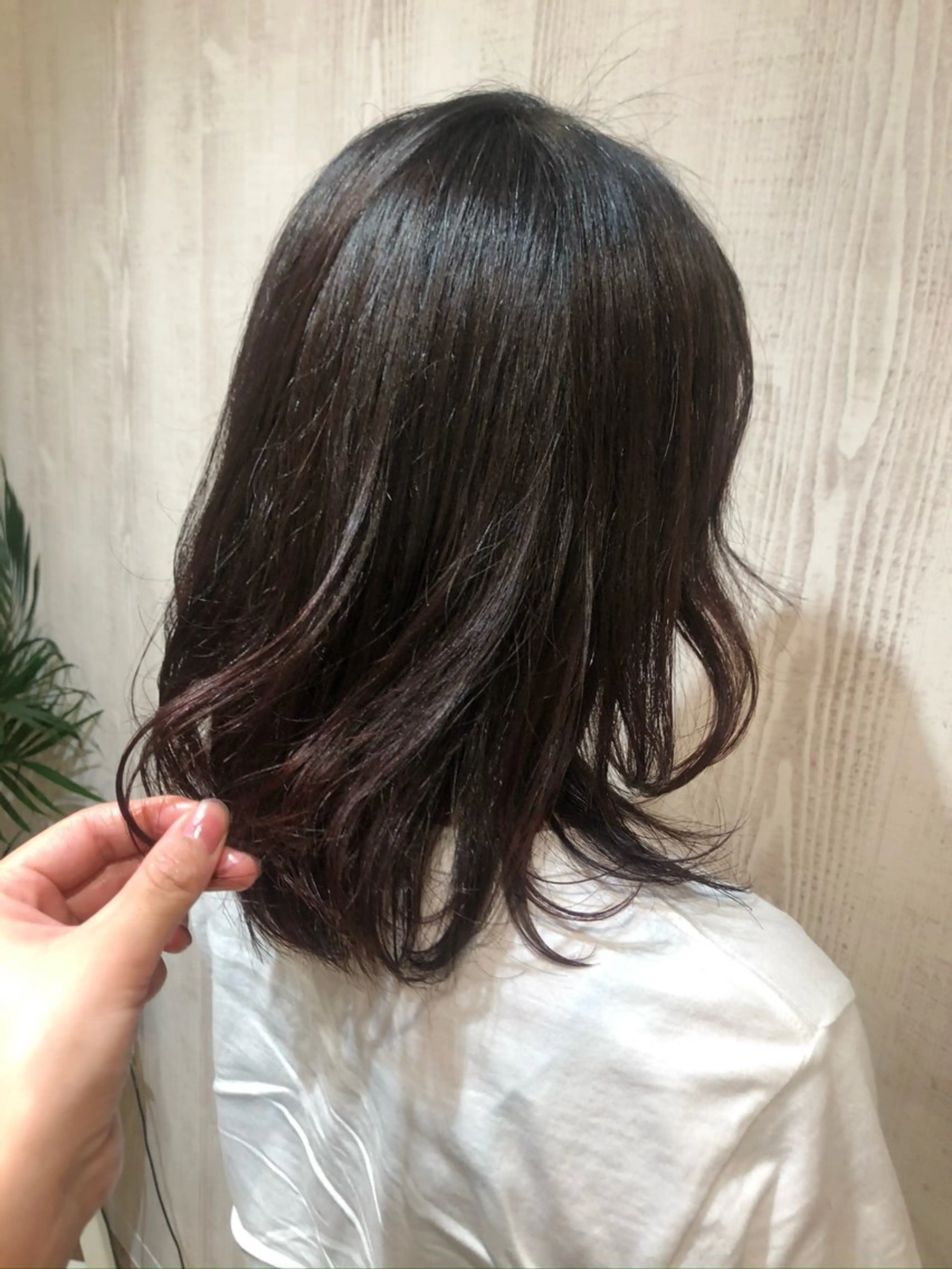 ミディアム 顔周りカット レイヤーカット カット トリートメント TELA HAIR南流山店所属・TELA HAIR Annaのヘアスタイル