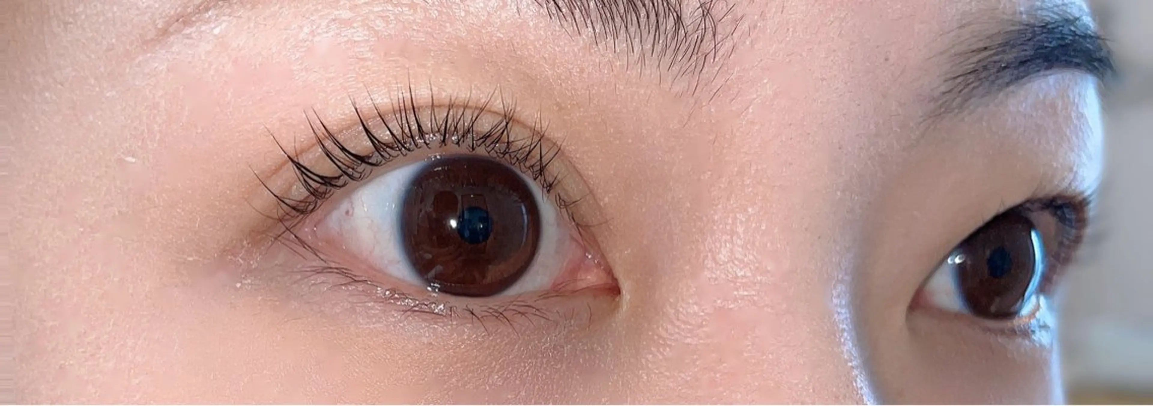 マツエク・マツパ Any eyelash＆hair所属・Any eyelashのマツエク・マツパデザイン