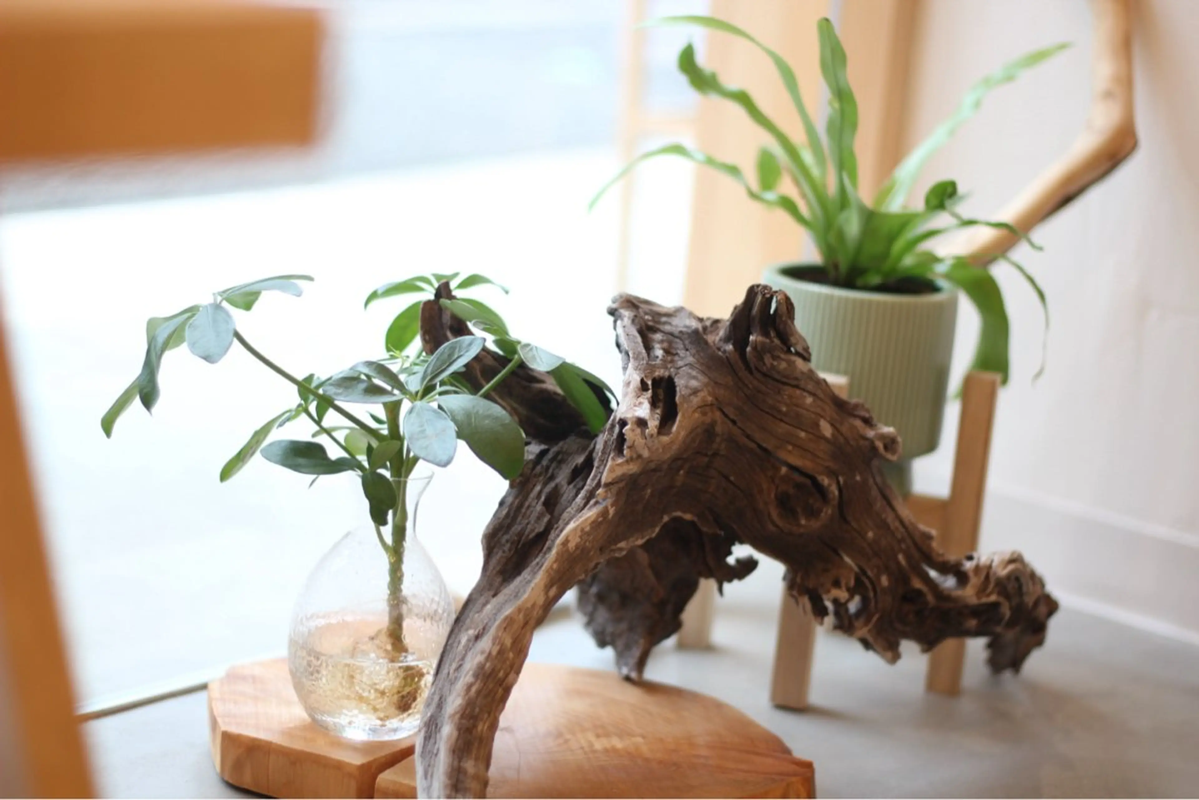 てらの 鍼灸院・整体院のエステ・リラクイメージ