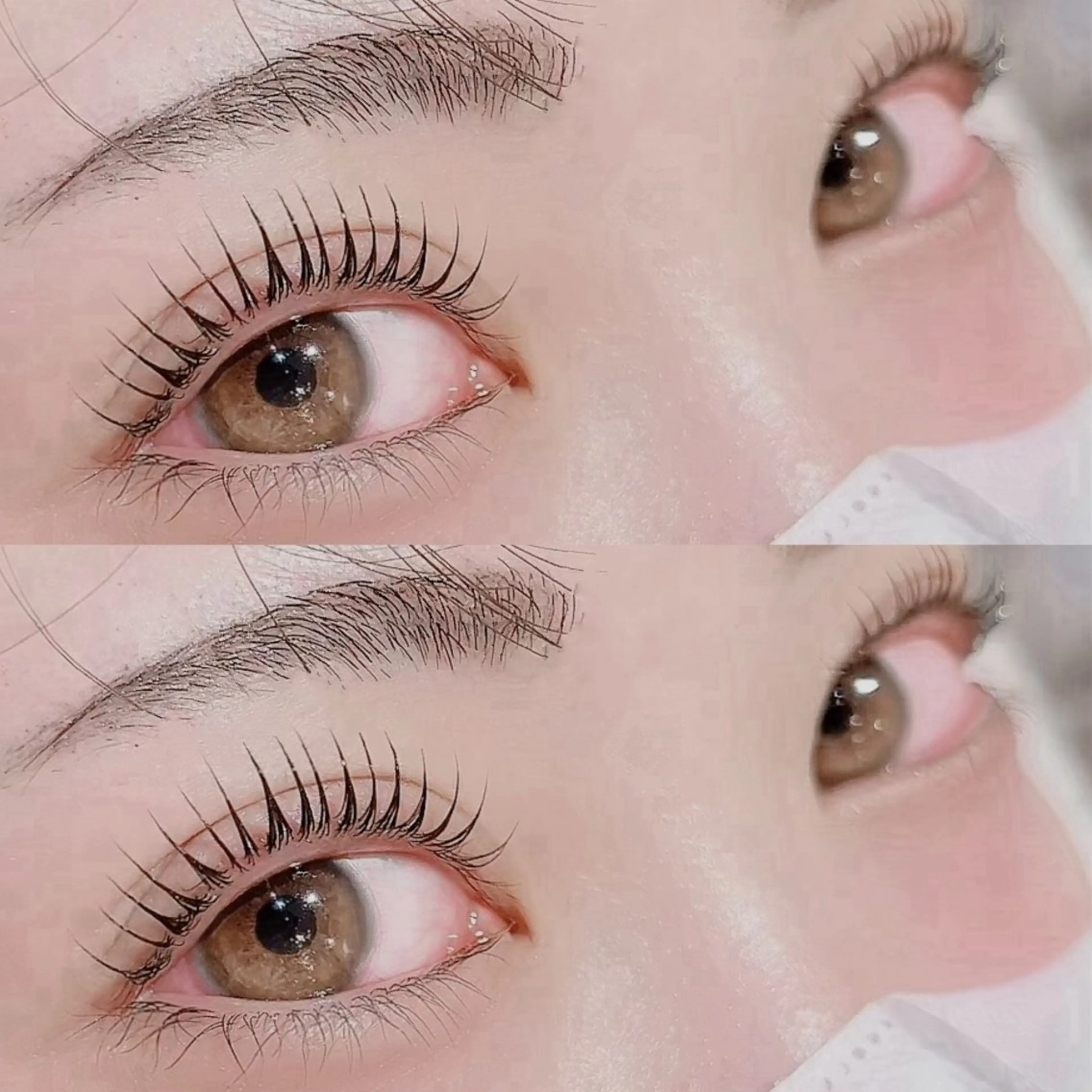 マツエク・マツパ マツパ Luxe ···▸﻿ Seike🐈‍⬛⸒の眉毛・アイブロウイメージ