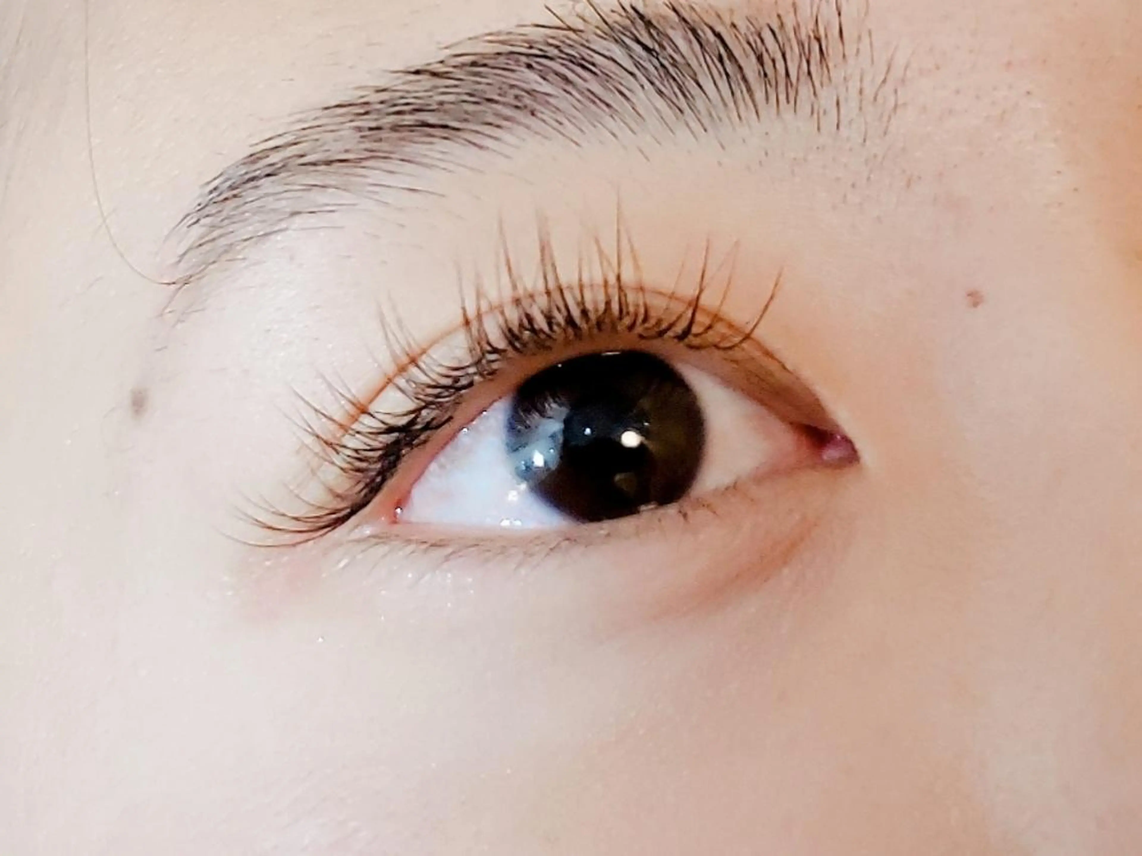 【ミニモ限定✨️】フラットラッシュ140本の写真