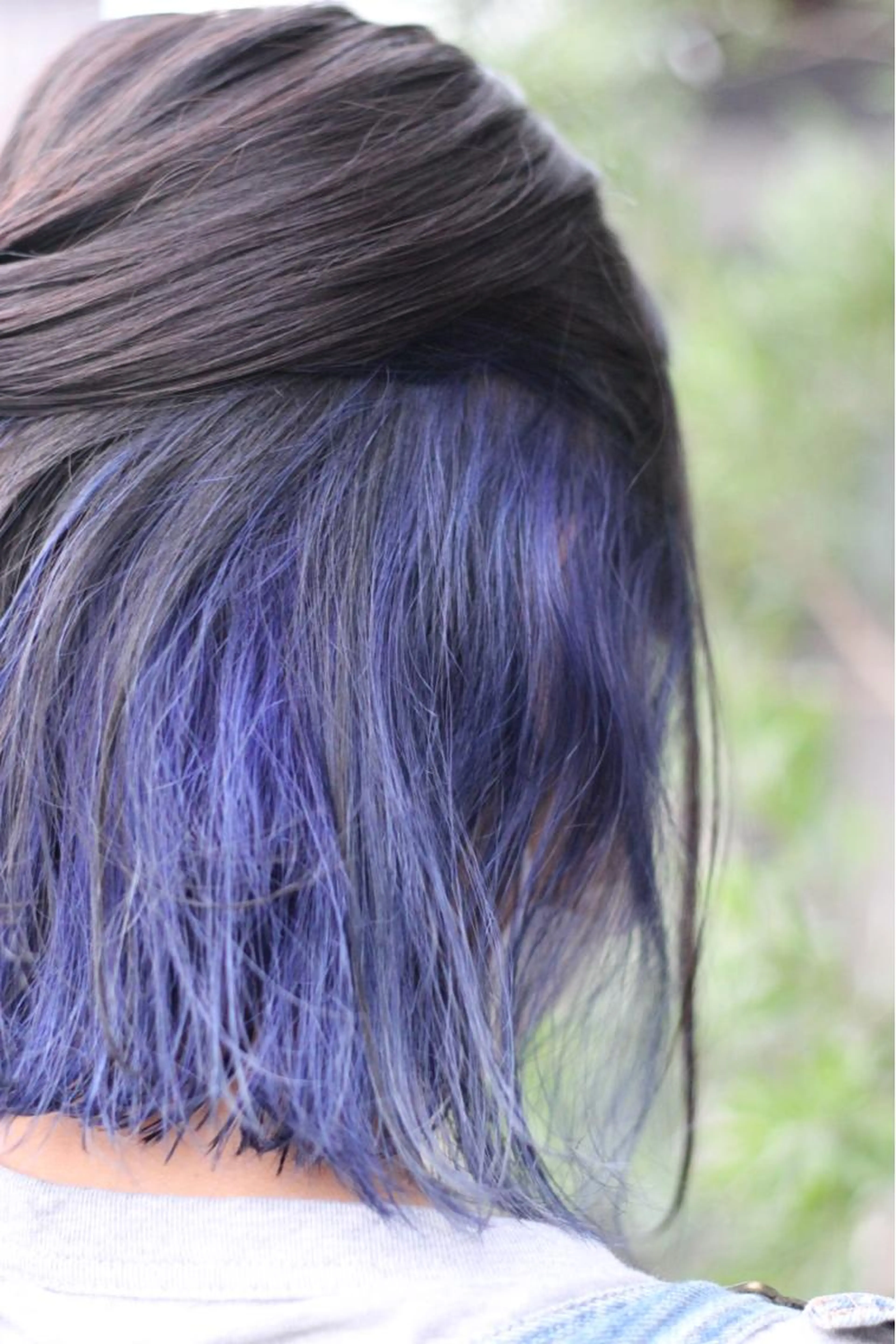 🌼ダブルカラー🌼の写真