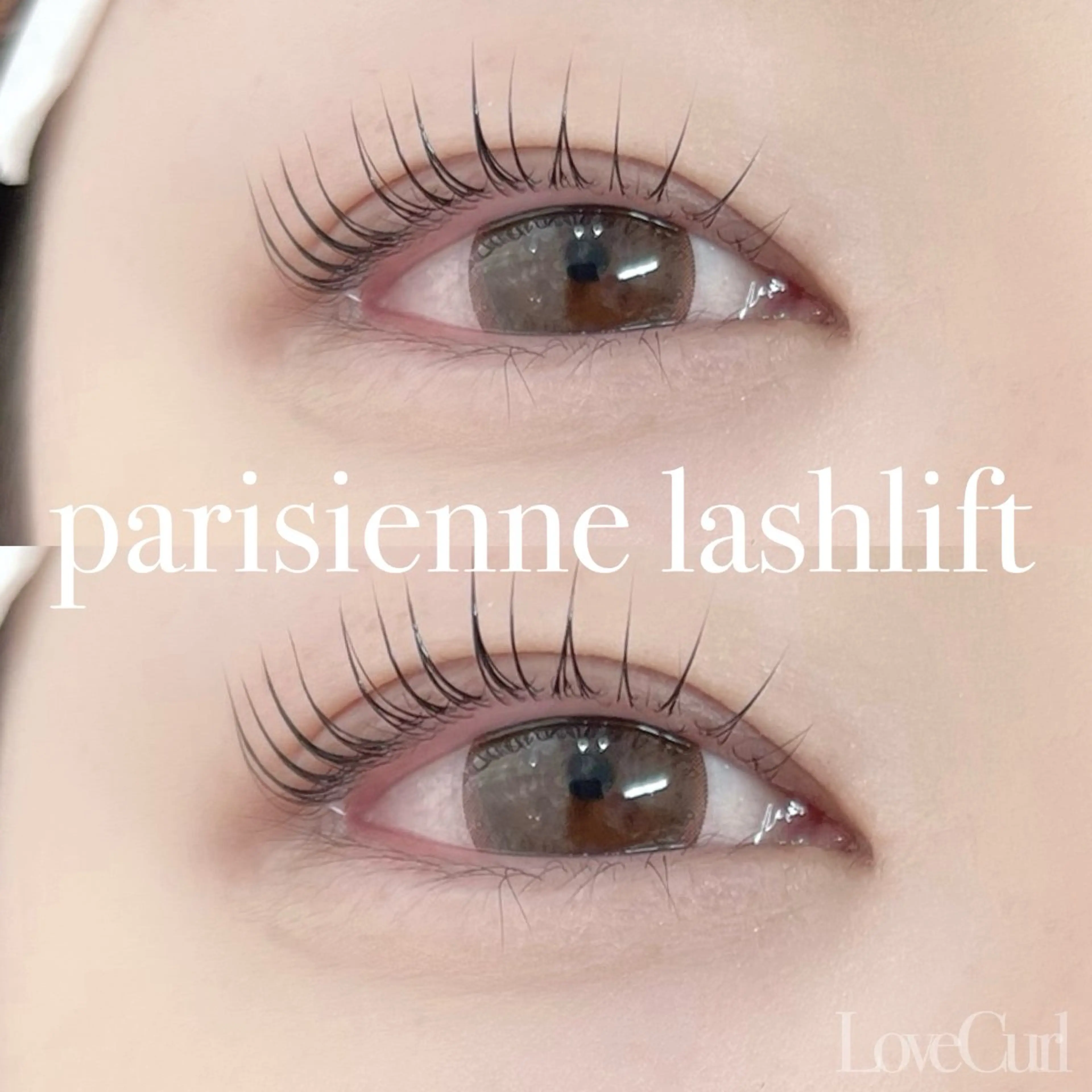 🧸パリジェンヌ(上のみ)&アイブロウ🧸の写真