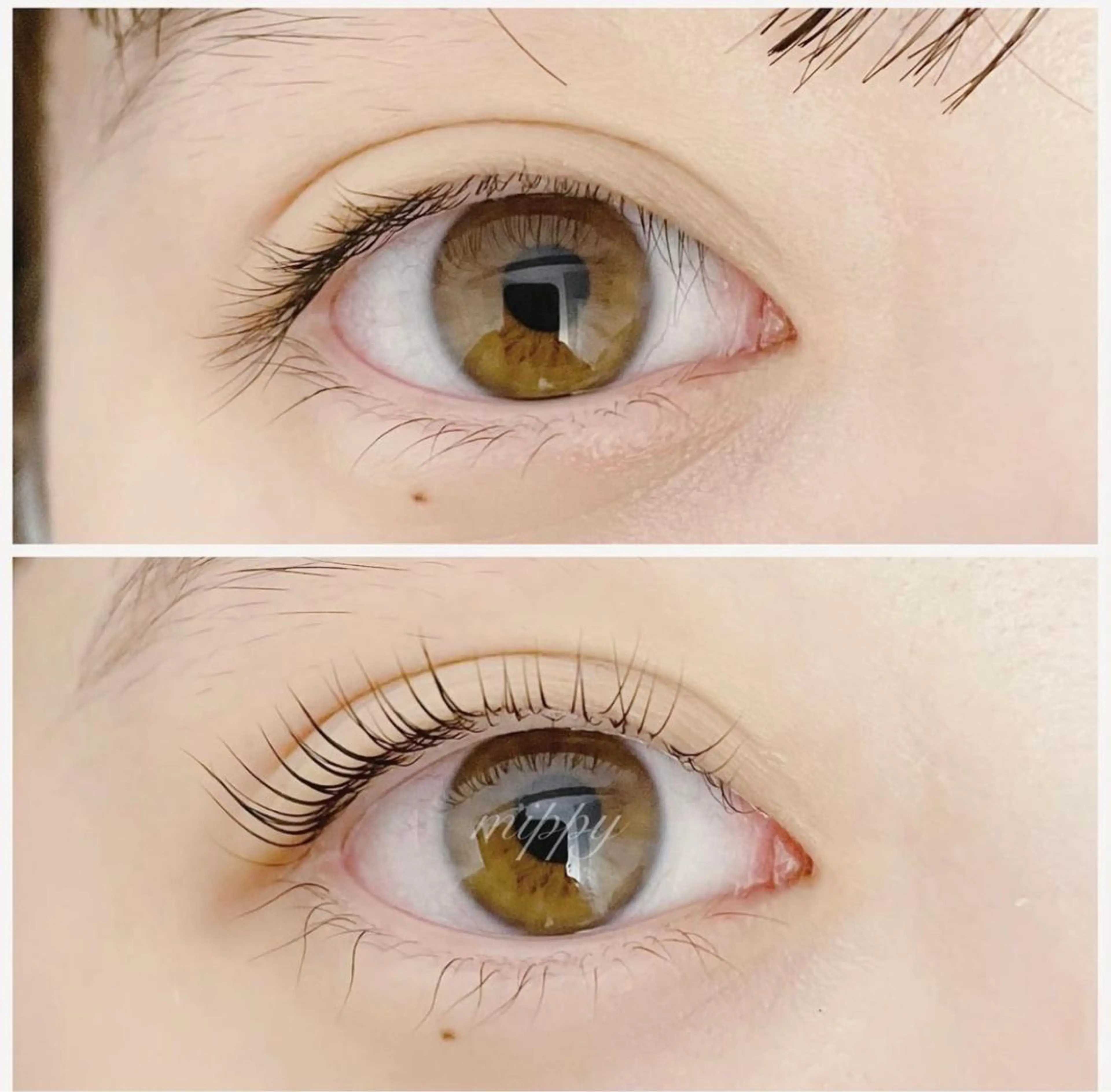 マツエク・マツパ パリジェンヌラッシュリフト ｍｉｐｐｙ 🪽のマツエク・マツパデザイン