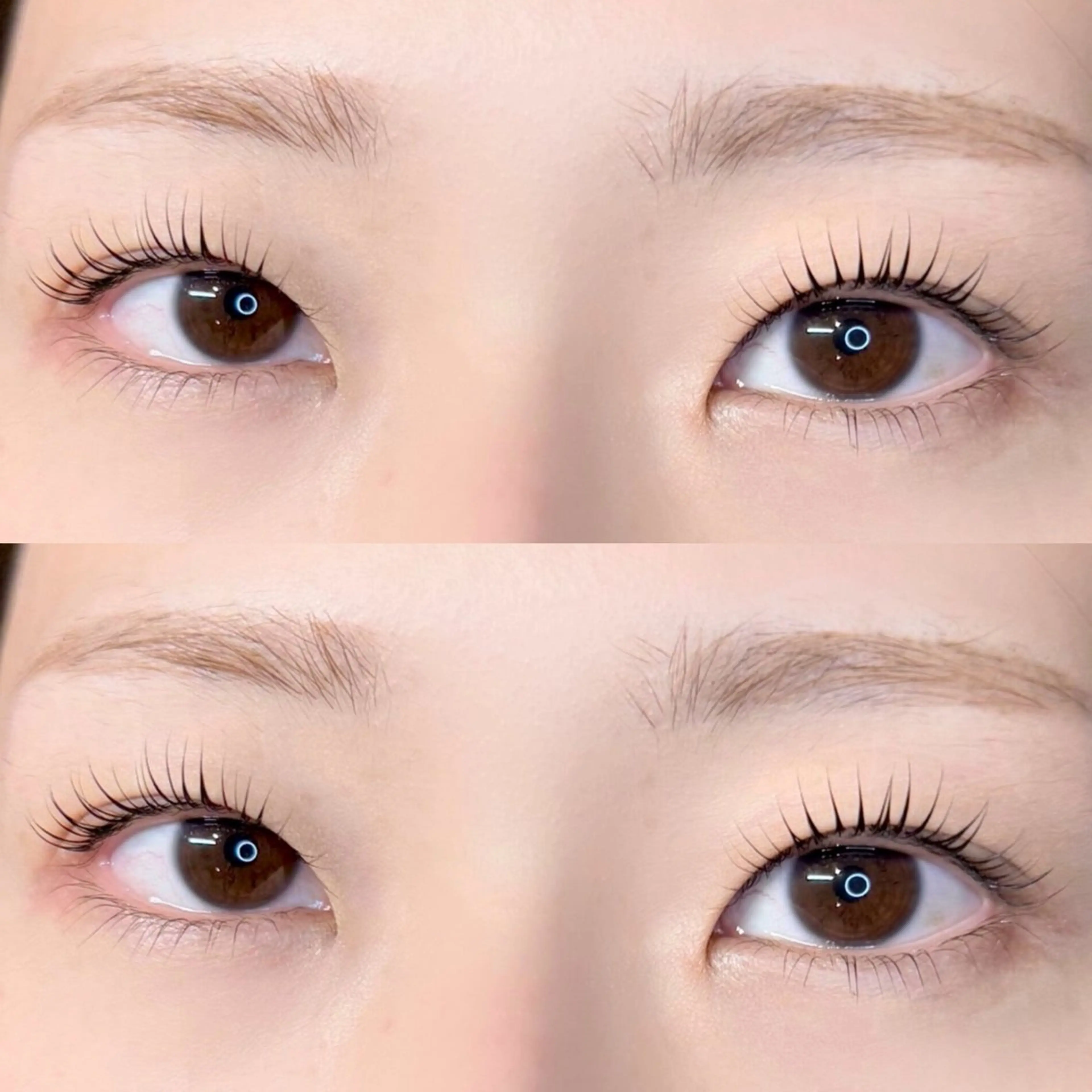 マツエク・マツパ マツパ Lily SHURIのマツエク・マツパデザイン