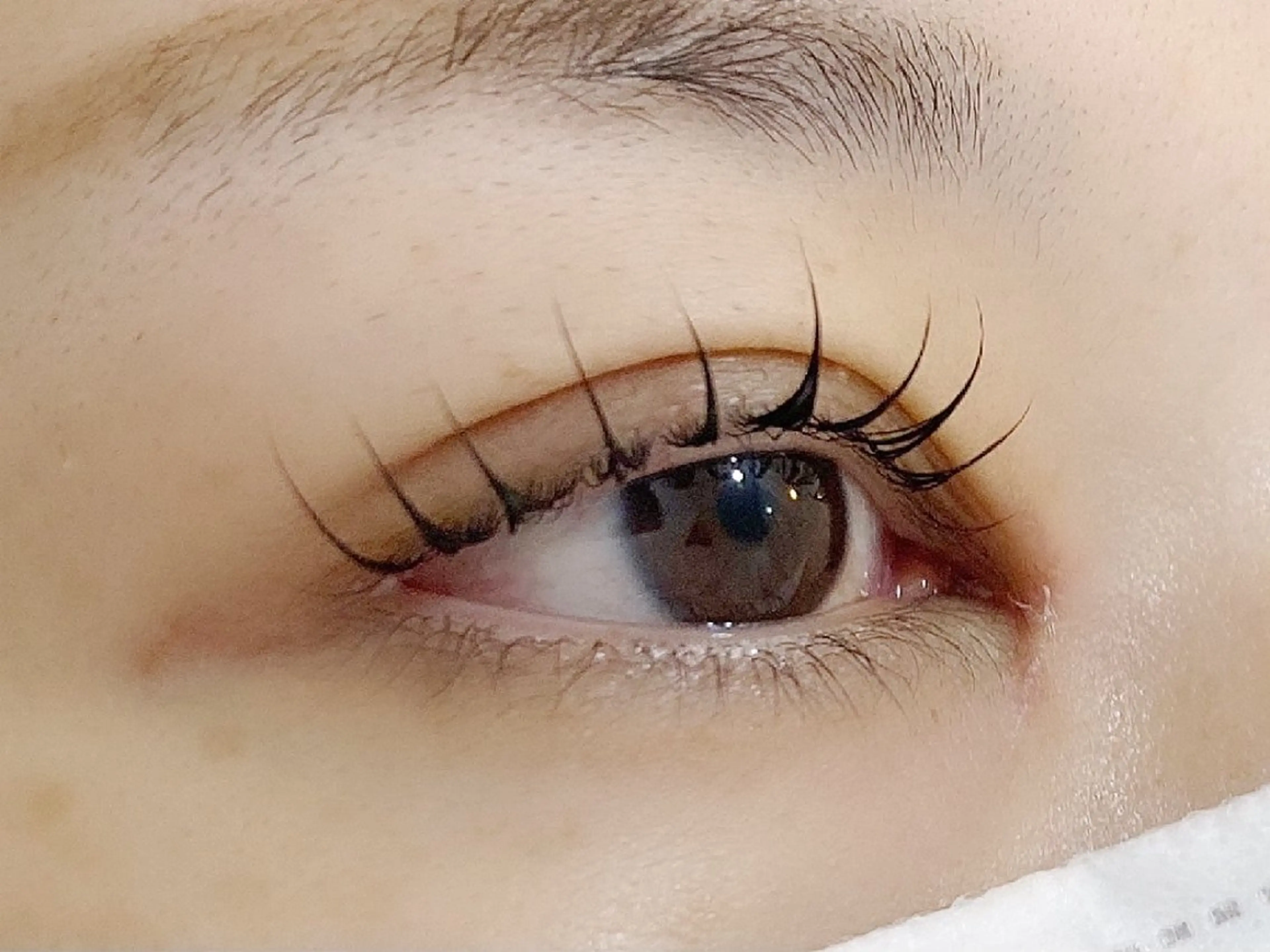 マツエク・マツパ 似合わせ眉🎀🌸 Kana💕の眉毛・アイブロウイメージ