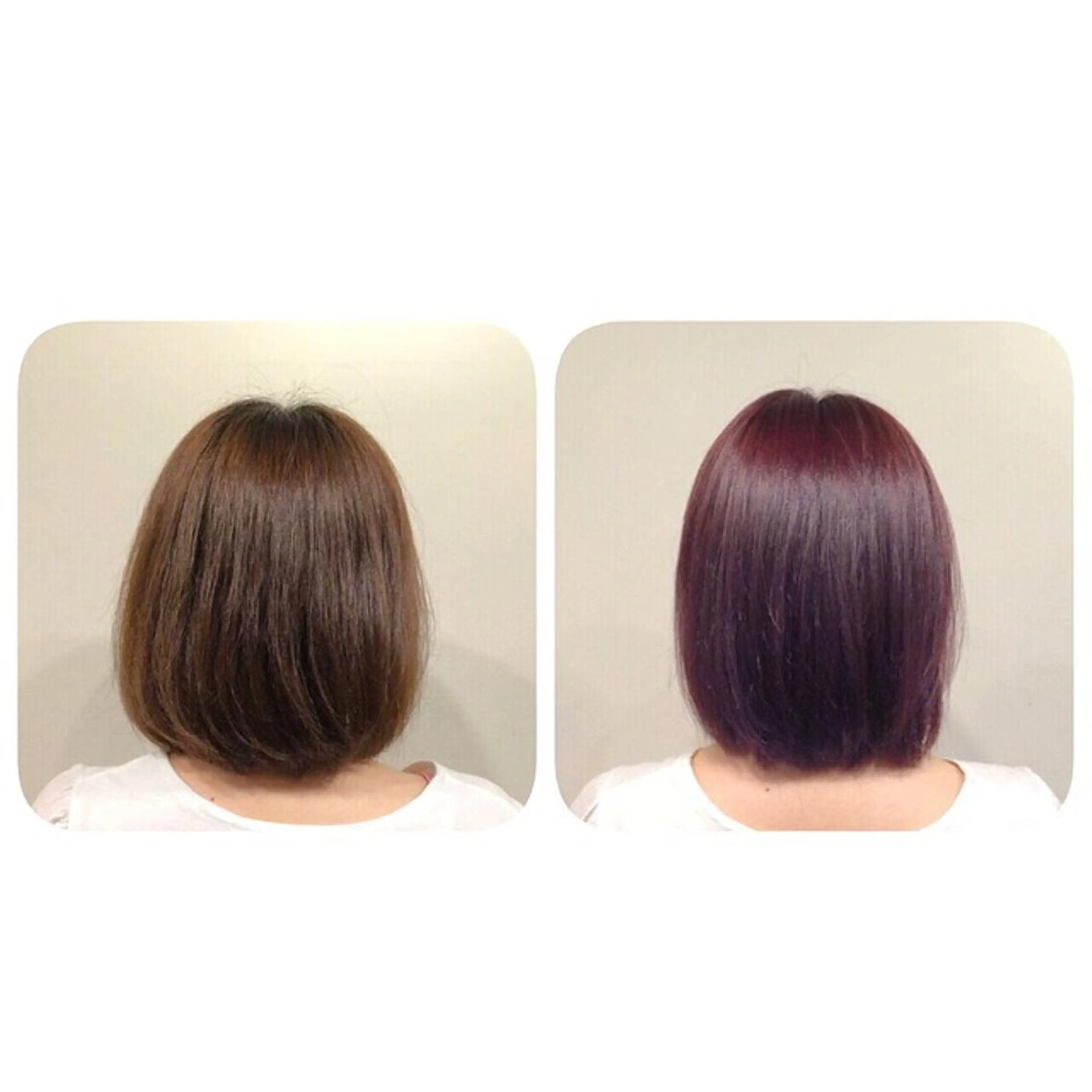 ショート カラー レッドカラー バイオレットカラー 遠藤悠大/メンズ縮毛 /メンズカットのヘアスタイル