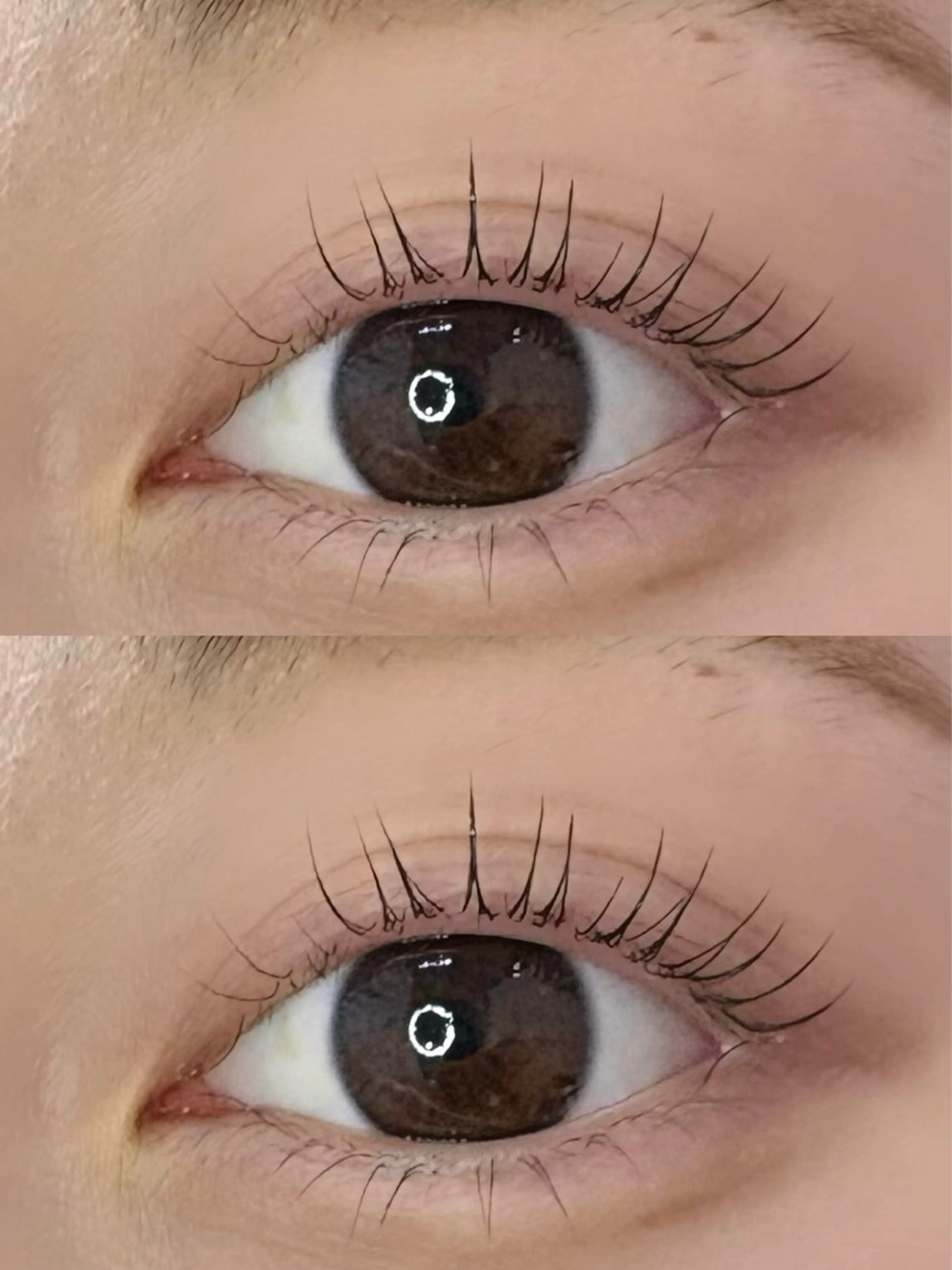 上下まつ毛パーマ🌼の写真