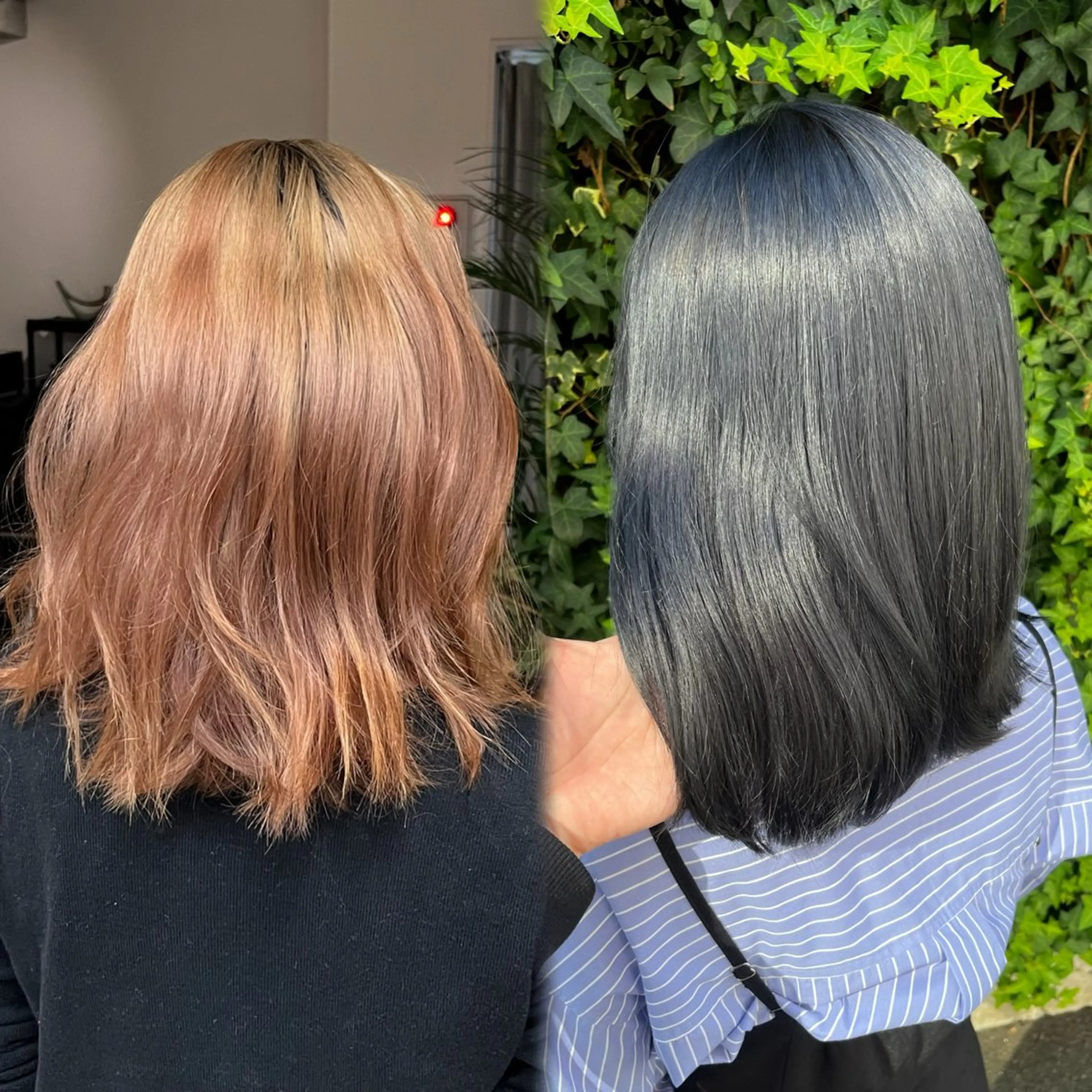 カラー ウルフとデザイン カラーの神のヘアスタイル