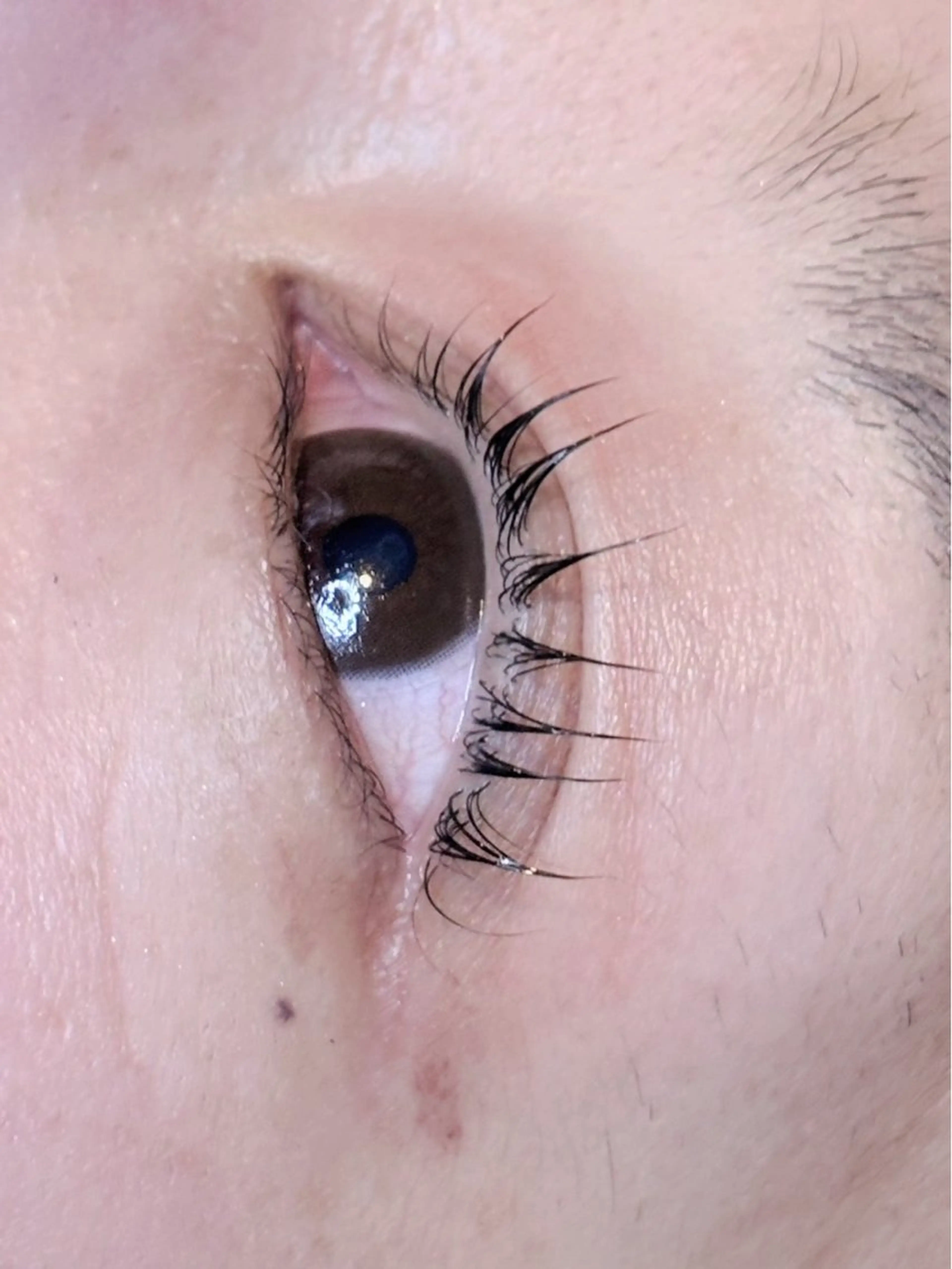 マツエク・マツパ マイトレーヤー HAIR ROOM所属・谷川 穂のヘアスタイル