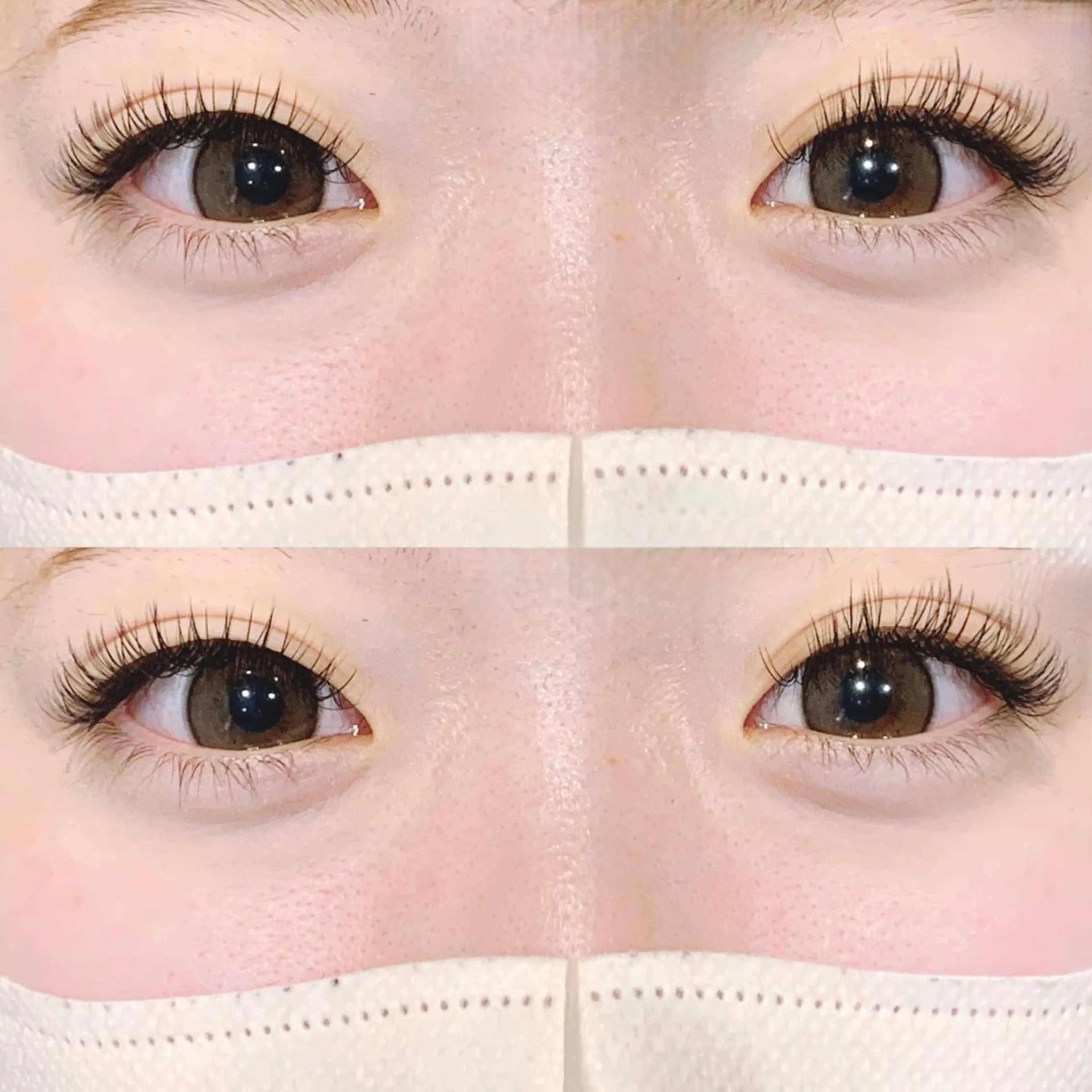 🌟バインドロック🌟【80束】新規7000円リピーター7500円の写真