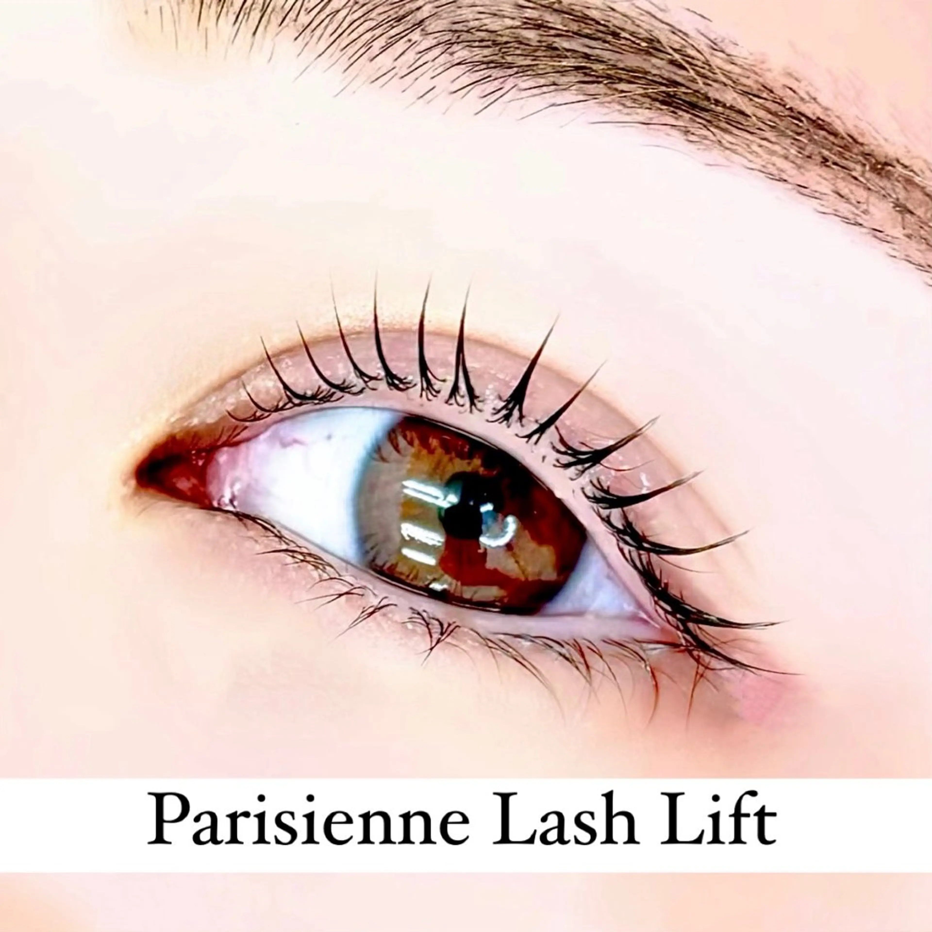 マツエク・マツパ パリジェンヌラッシュリフト まつげパーマ IVY-NUE HITOMIのマツエク・マツパデザイン