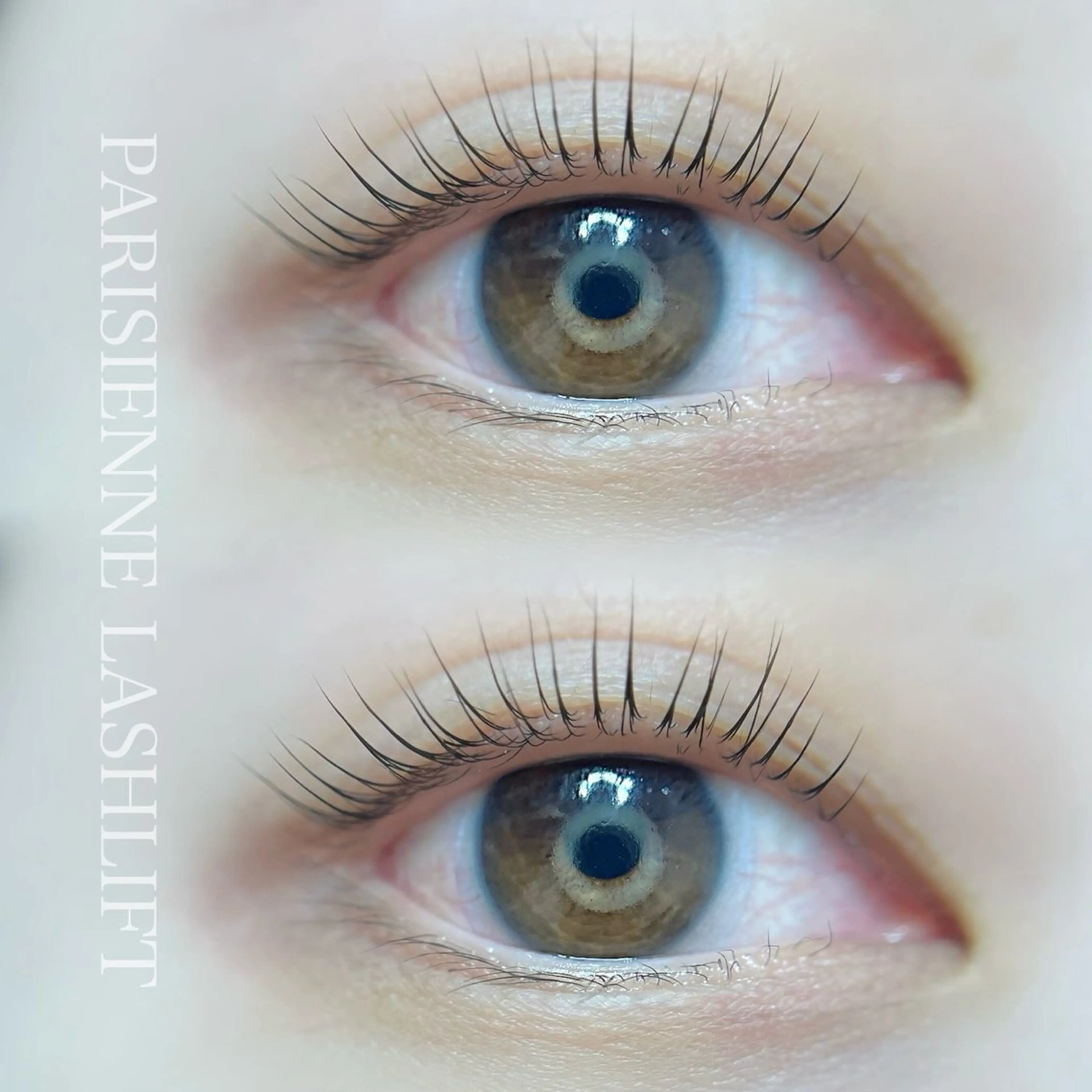 ご新規様限定🫧パリジェンヌor 似合わせまつ毛パーマ 👀6600円→4000円🌟の写真