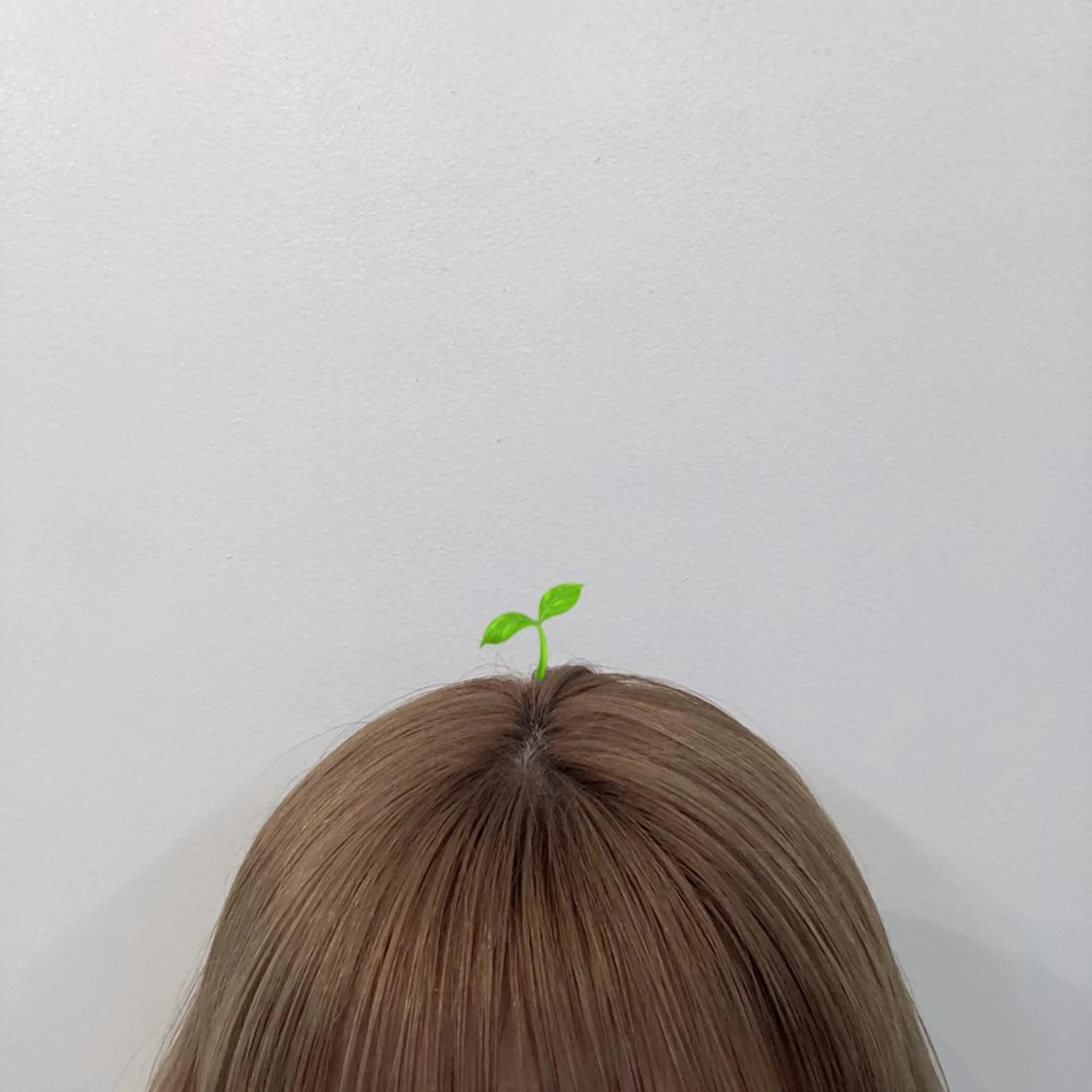 セミロング 暖色カラー推し/ トヤエリコのヘアスタイル