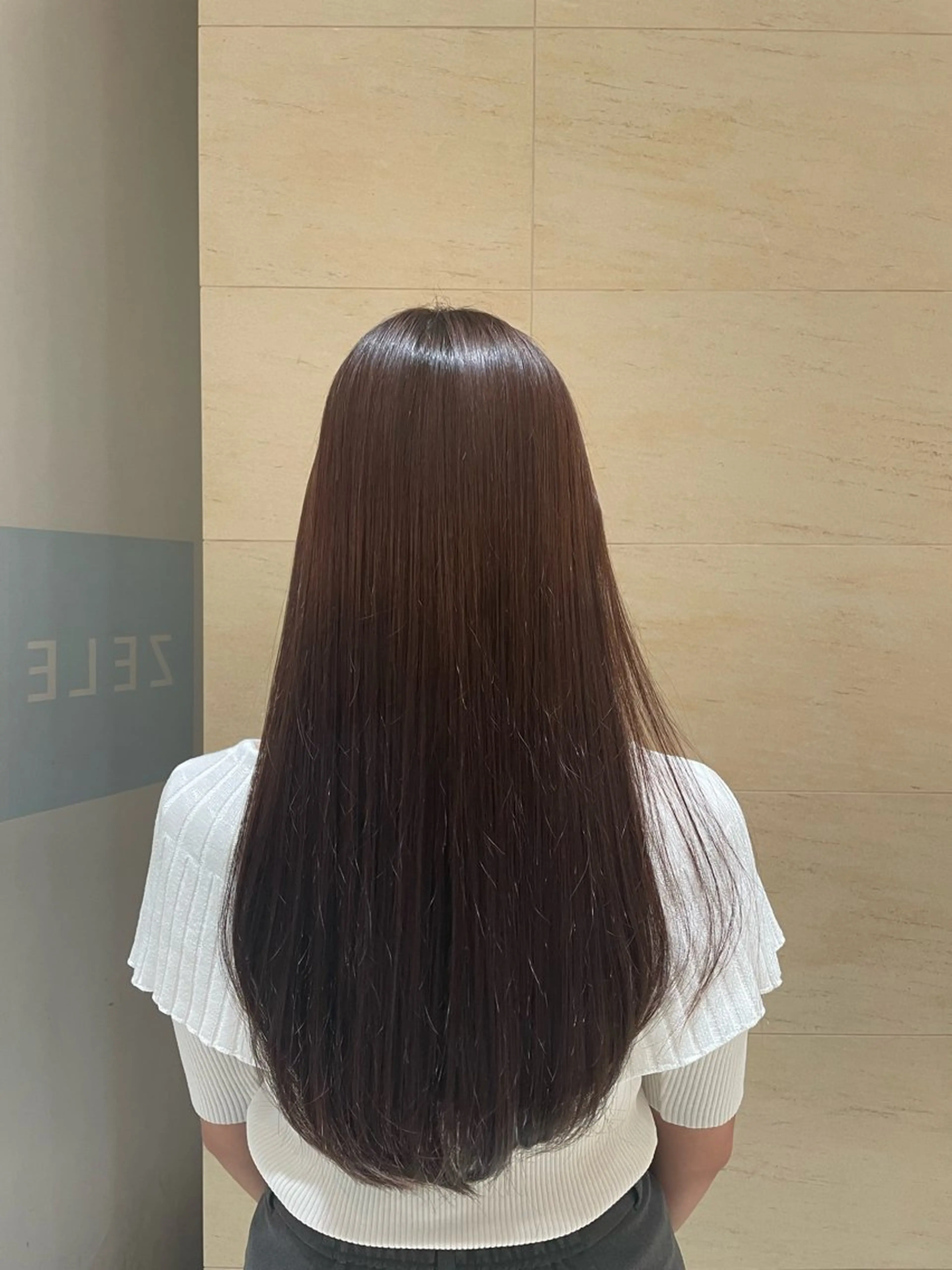 カットモデルの写真