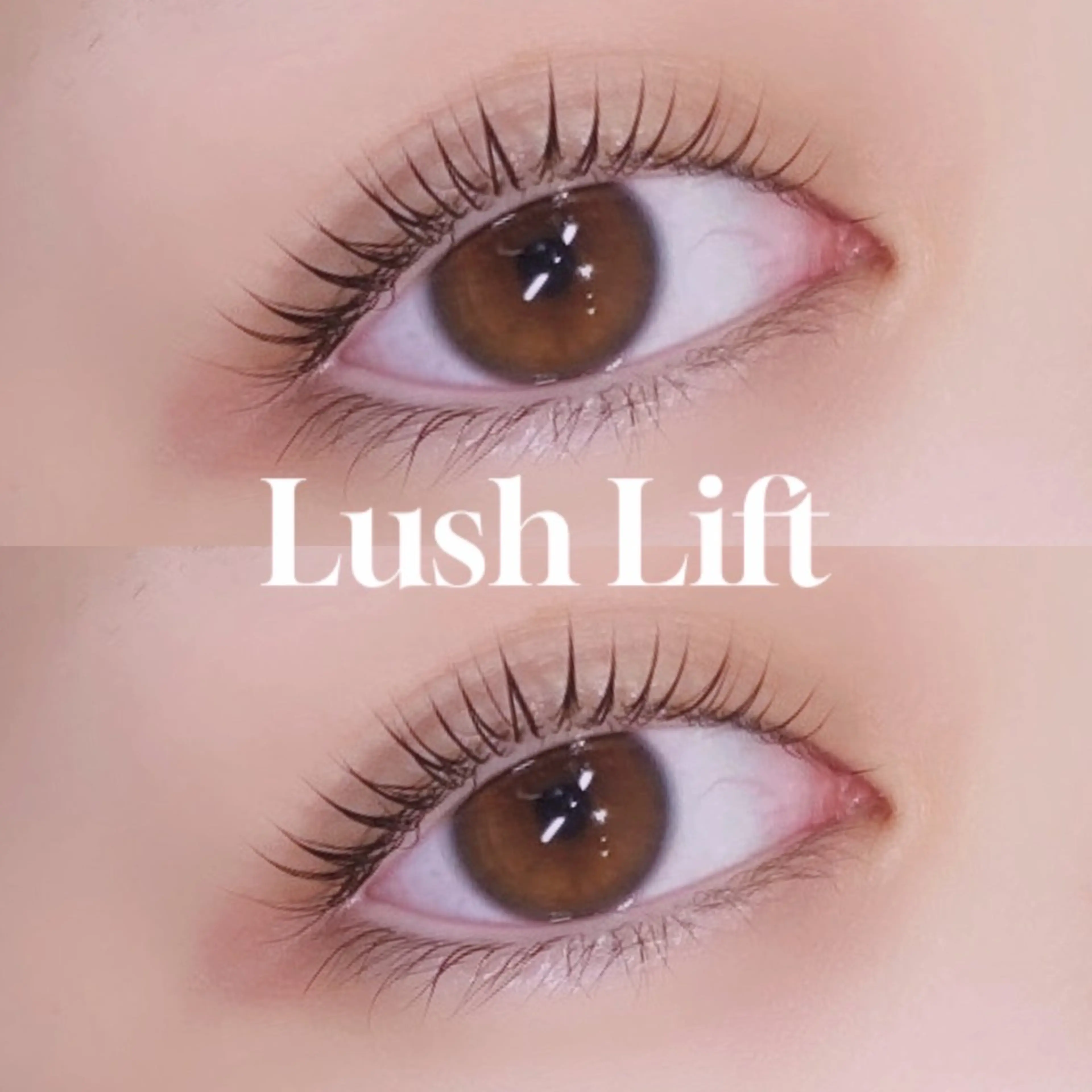 🫧選べるカールラッシュリフト🫧ご新規様4200円・顧客様は5100円の写真